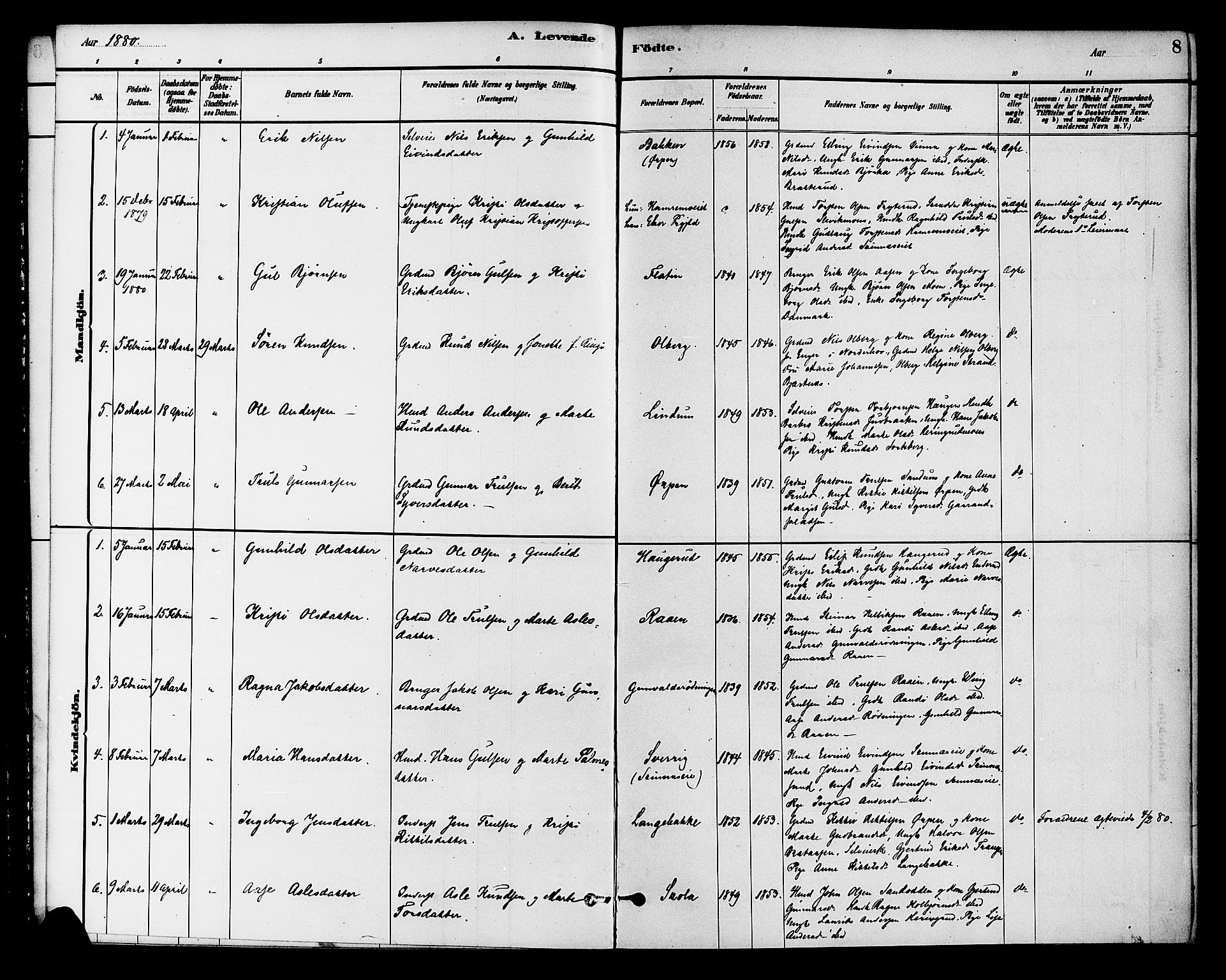 Krødsherad kirkebøker, SAKO/A-19/G/Ga/L0001: Parish register (copy) no. 1, 1879-1893, p. 8