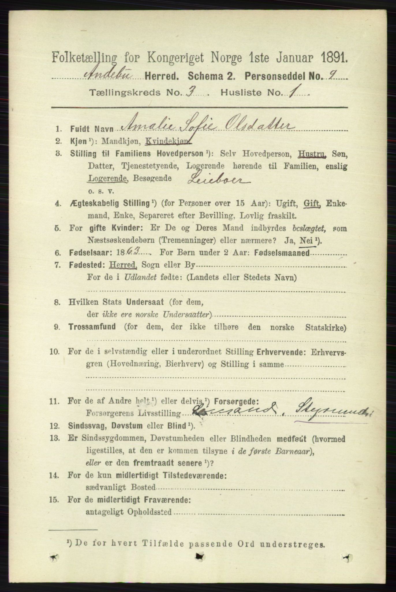 RA, 1891 census for 0719 Andebu, 1891, p. 1504