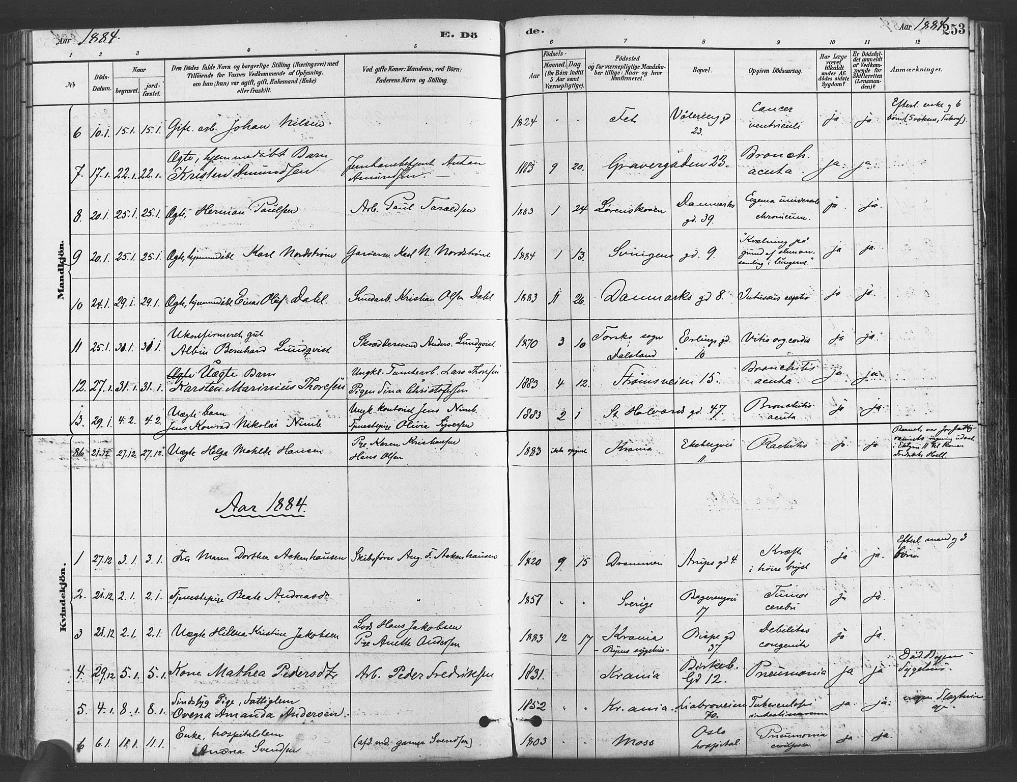 Gamlebyen prestekontor Kirkebøker, SAO/A-10884/F/Fa/L0006: Parish register (official) no. 6, 1881-1890, p. 253