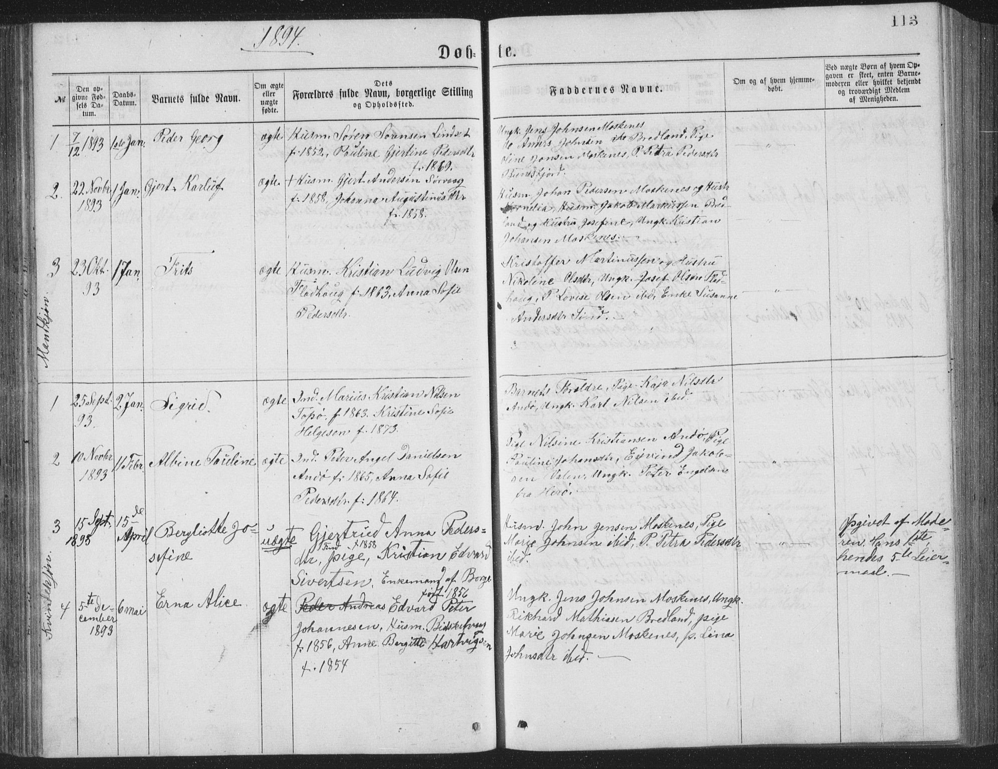 Ministerialprotokoller, klokkerbøker og fødselsregistre - Nordland, SAT/A-1459/886/L1225: Parish register (copy) no. 886C02, 1874-1896, p. 113