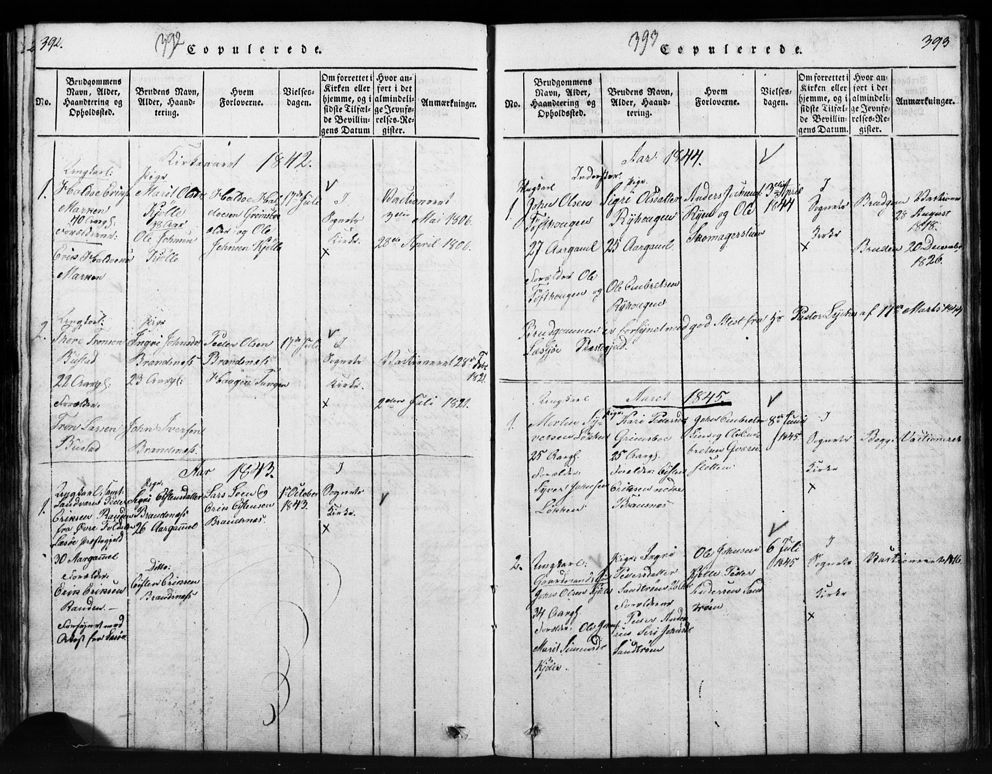 Tynset prestekontor, SAH/PREST-058/H/Ha/Hab/L0003: Parish register (copy) no. 3, 1814-1862, p. 392-393