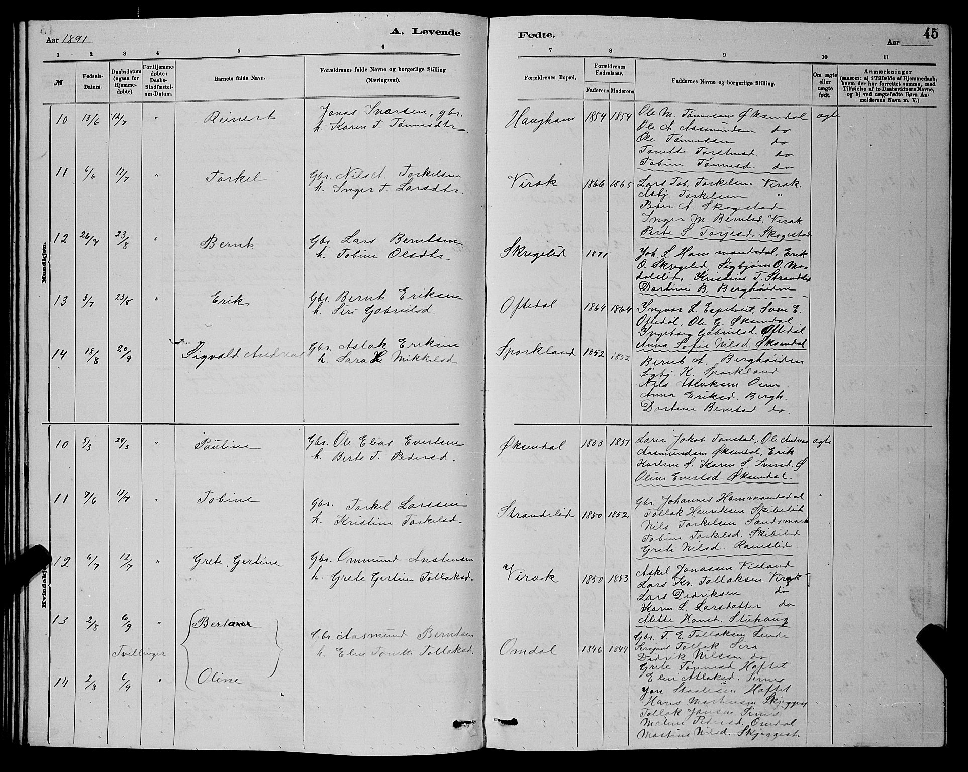 Bakke sokneprestkontor, AV/SAK-1111-0002/F/Fb/Fba/L0002: Parish register (copy) no. B 2, 1879-1893, p. 45