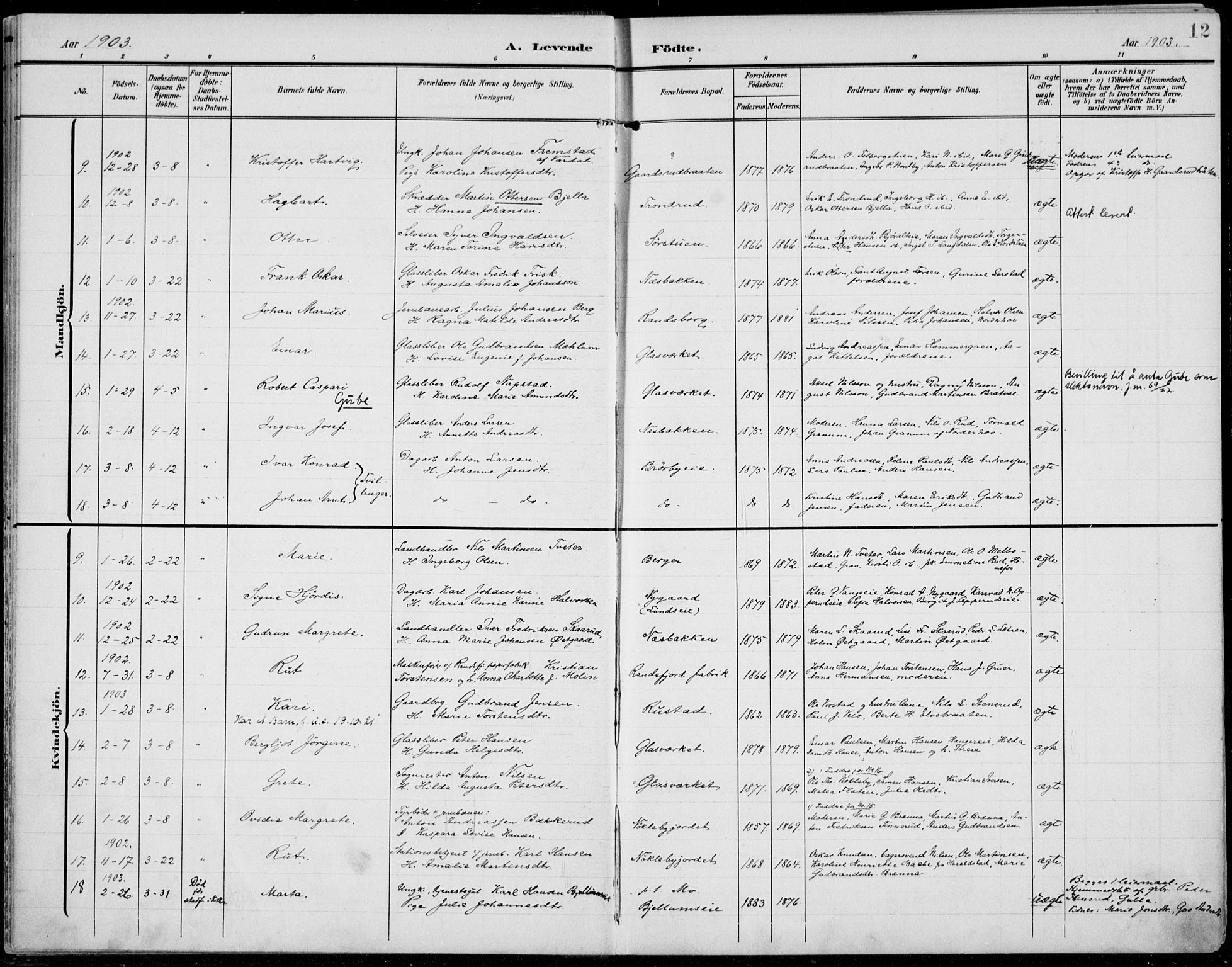 Jevnaker prestekontor, AV/SAH-PREST-116/H/Ha/Haa/L0011: Parish register (official) no. 11, 1902-1913, p. 12