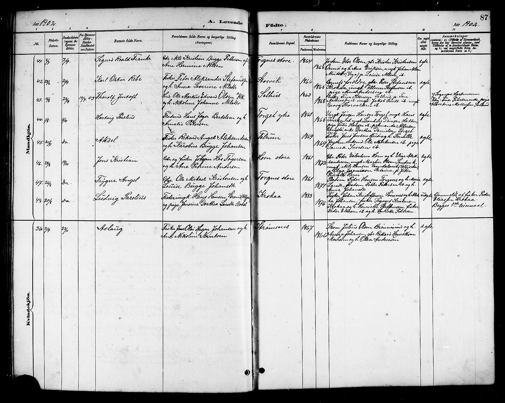 Ministerialprotokoller, klokkerbøker og fødselsregistre - Nordland, AV/SAT-A-1459/813/L0213: Parish register (copy) no. 813C05, 1887-1903, p. 87