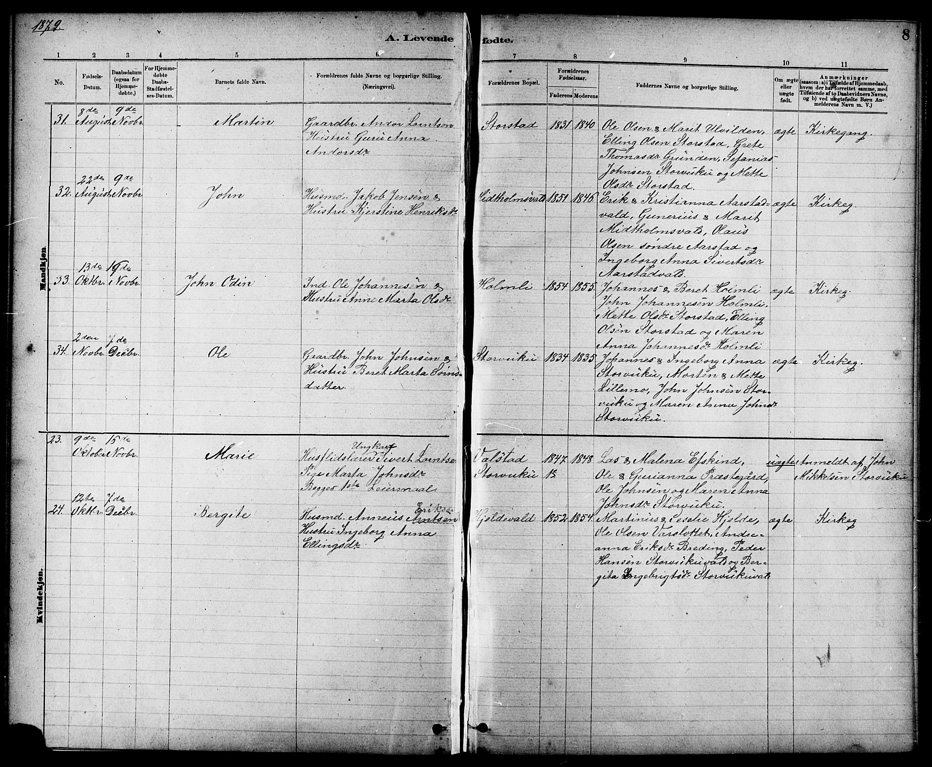 Ministerialprotokoller, klokkerbøker og fødselsregistre - Nord-Trøndelag, AV/SAT-A-1458/724/L0267: Parish register (copy) no. 724C03, 1879-1898, p. 8