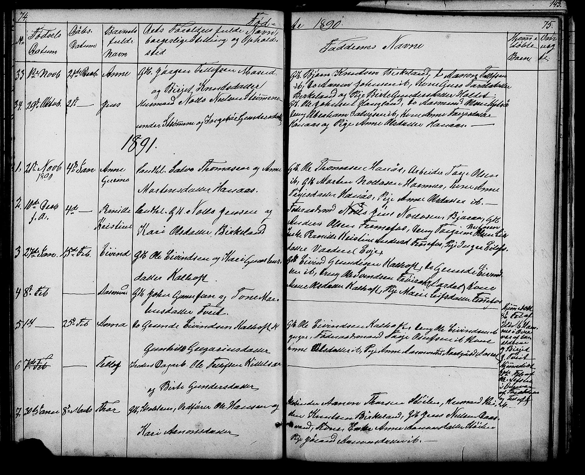 Evje sokneprestkontor, SAK/1111-0008/F/Fb/Fbb/L0002: Parish register (copy) no. B 2, 1879-1909, p. 74-75