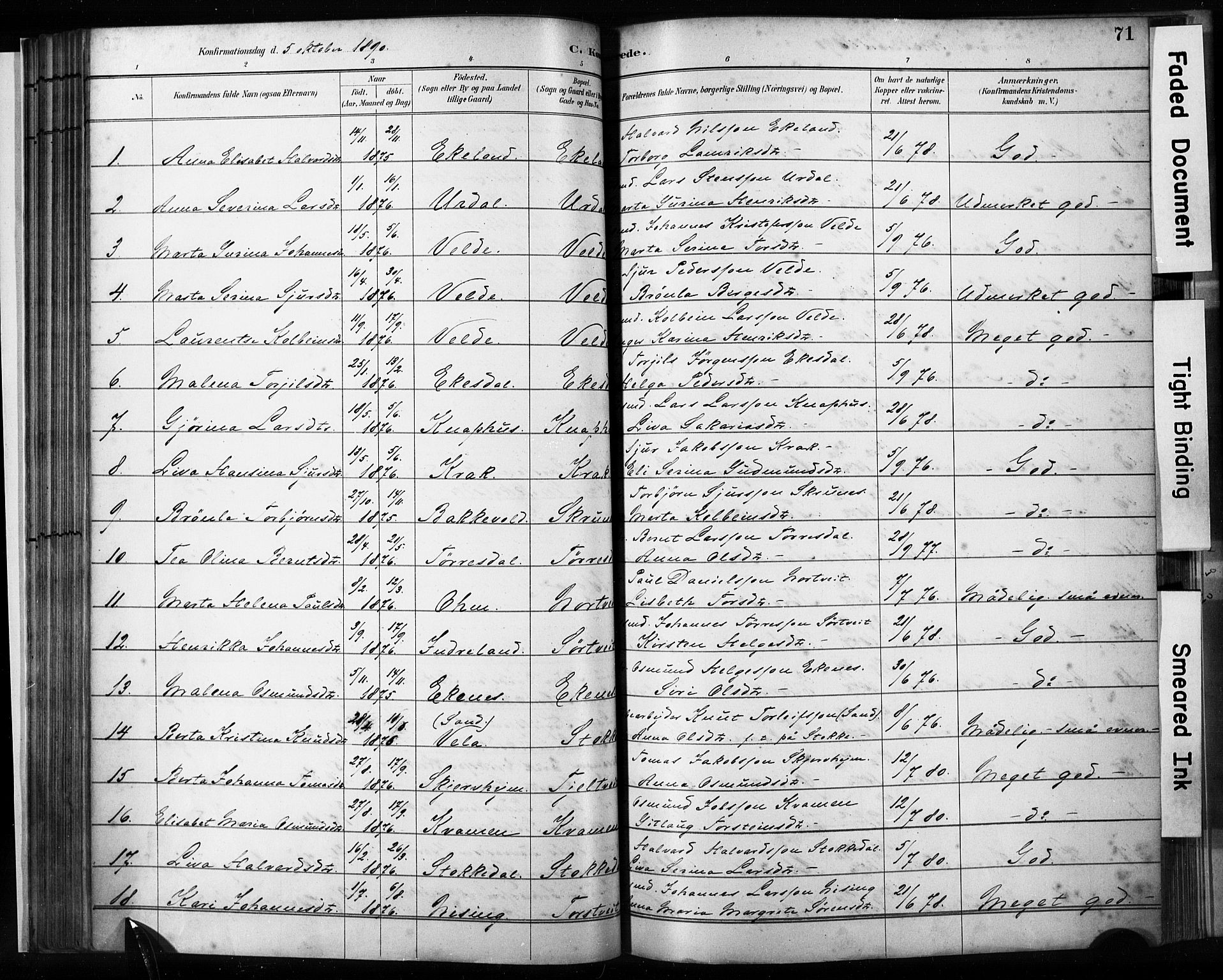 Skjold sokneprestkontor, AV/SAST-A-101847/H/Ha/Haa/L0009: Parish register (official) no. A 9, 1882-1898, p. 71