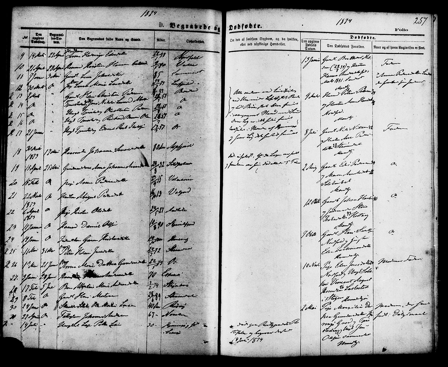 Ministerialprotokoller, klokkerbøker og fødselsregistre - Nordland, SAT/A-1459/853/L0771: Parish register (official) no. 853A10, 1870-1881, p. 257