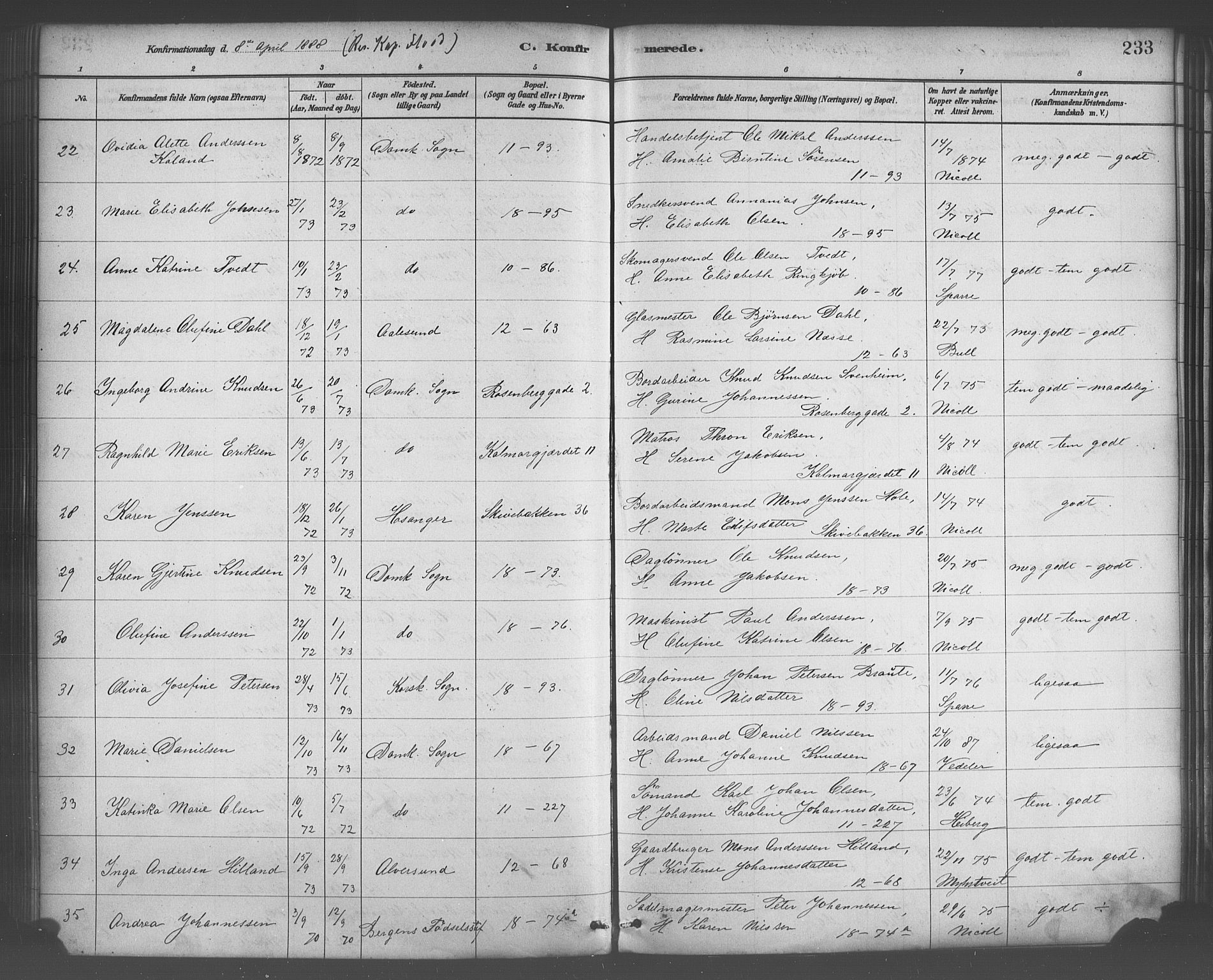 Domkirken sokneprestembete, SAB/A-74801/H/Haa/L0030: Parish register (official) no. C 5, 1880-1898, p. 233