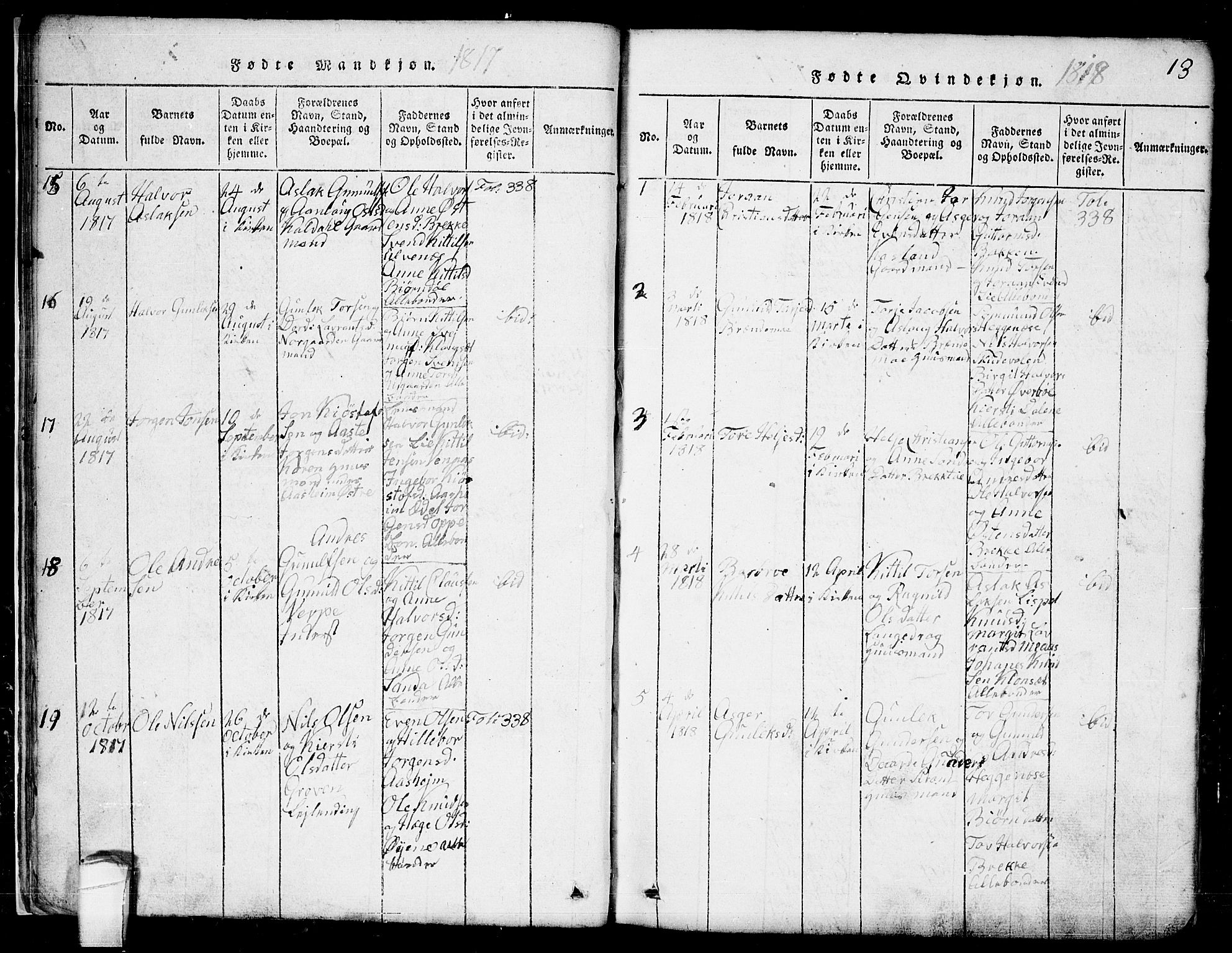 Seljord kirkebøker, AV/SAKO-A-20/G/Ga/L0001: Parish register (copy) no. I 1, 1815-1854, p. 13