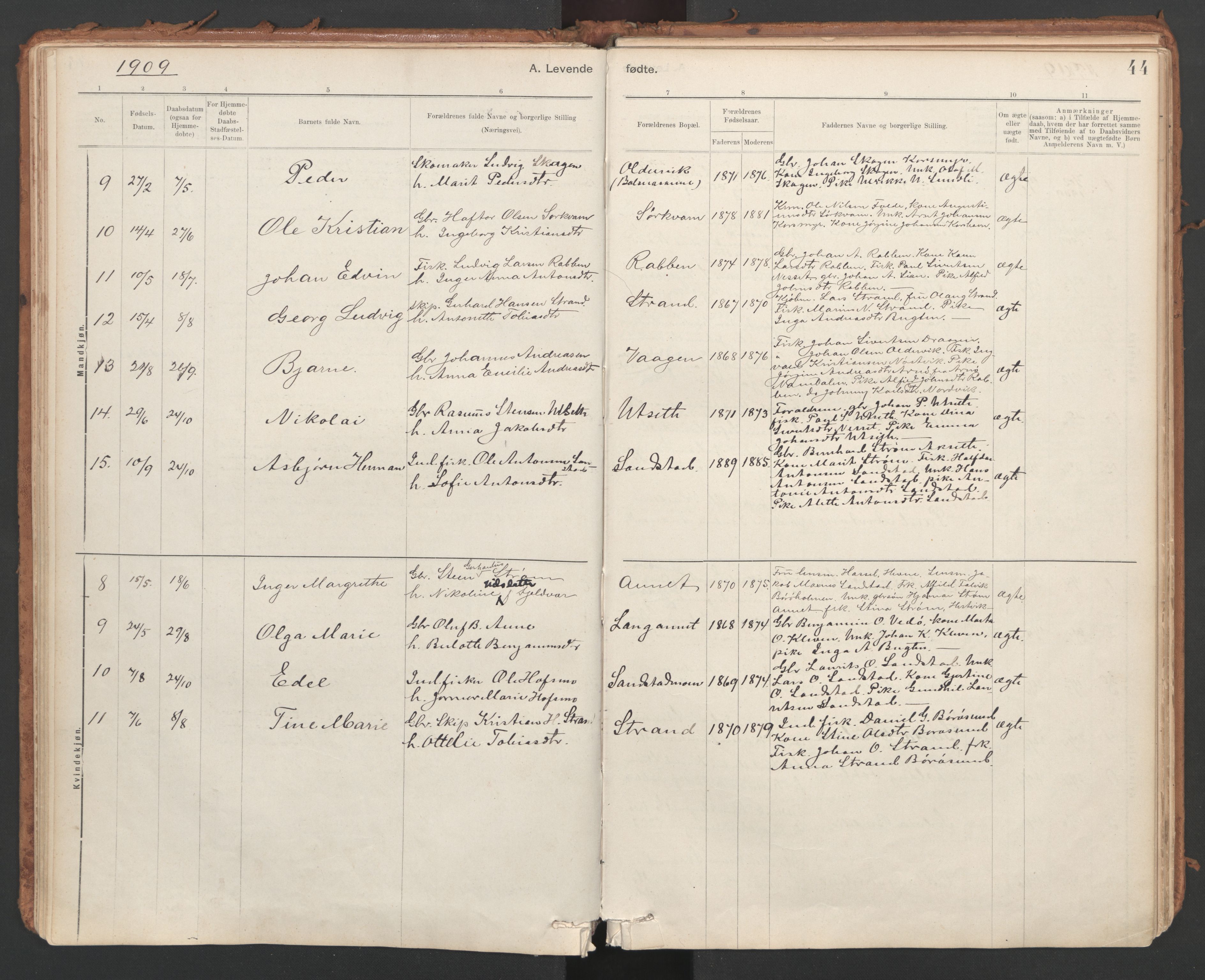Ministerialprotokoller, klokkerbøker og fødselsregistre - Sør-Trøndelag, SAT/A-1456/639/L0572: Parish register (official) no. 639A01, 1890-1920, p. 44