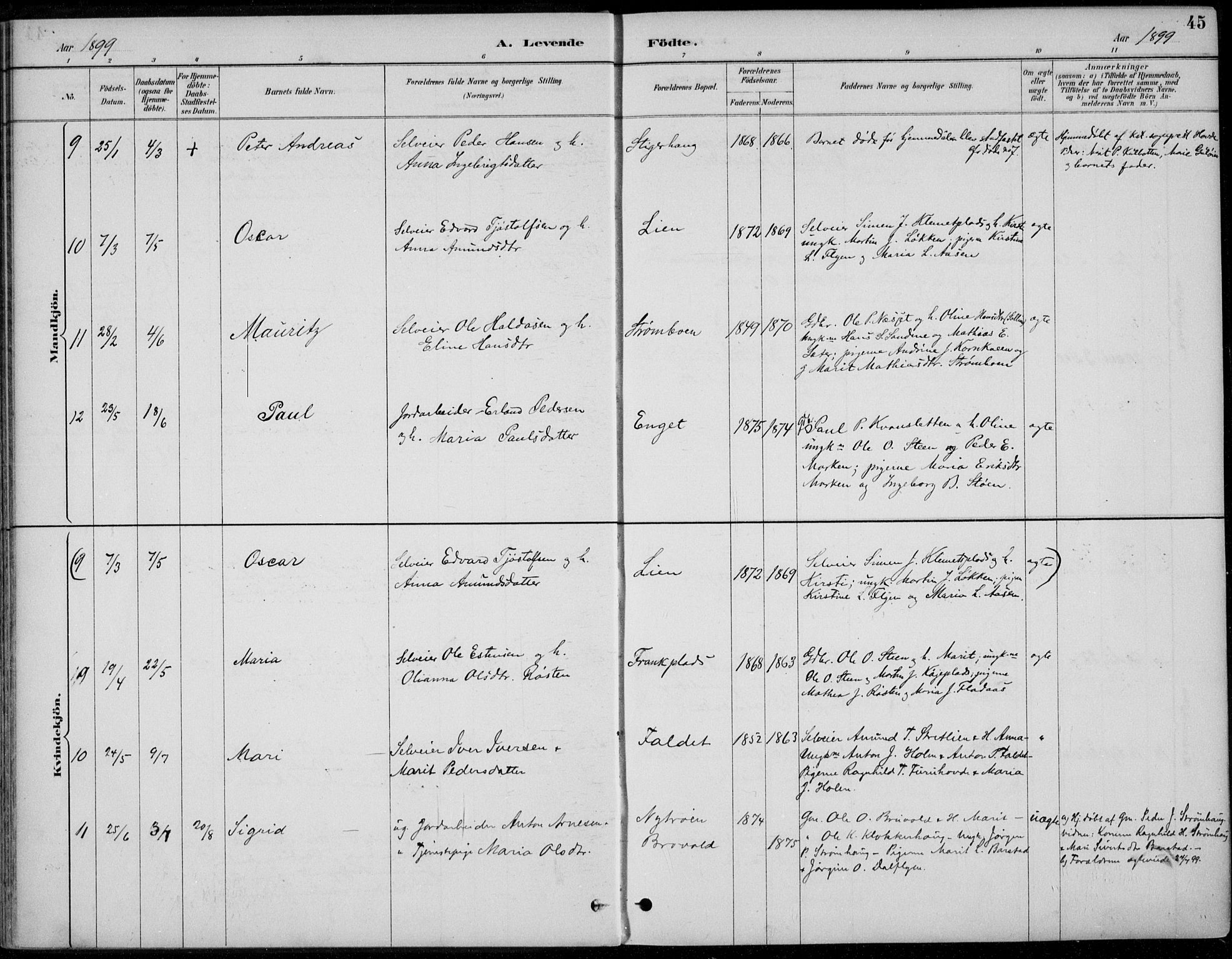 Alvdal prestekontor, AV/SAH-PREST-060/H/Ha/Haa/L0003: Parish register (official) no. 3, 1886-1912, p. 45