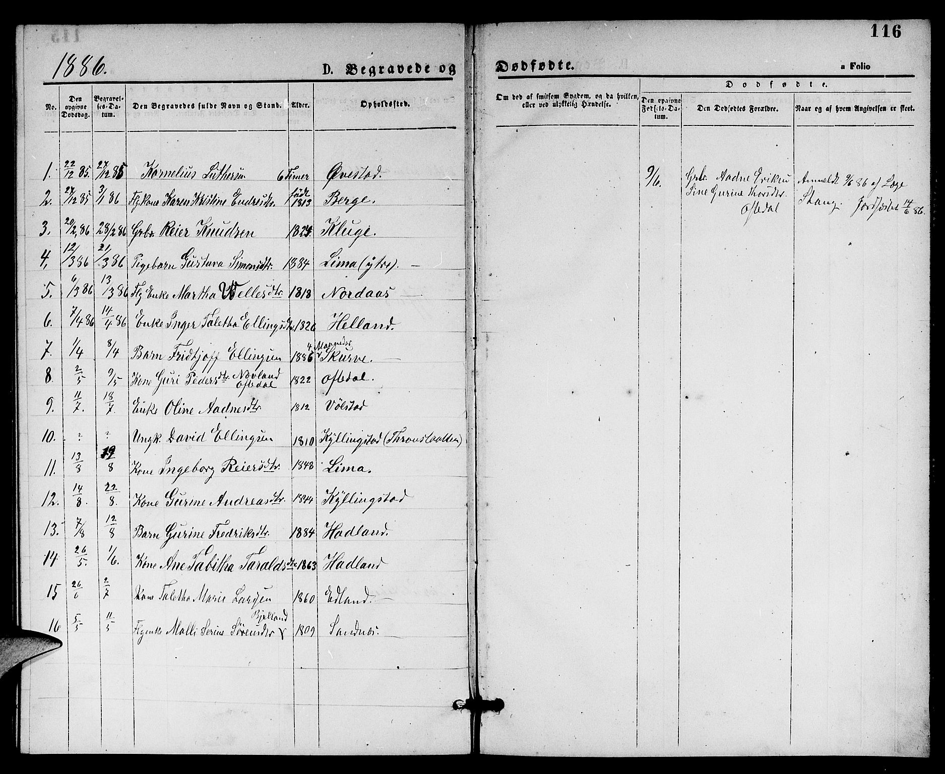 Lye sokneprestkontor, AV/SAST-A-101794/001/30BB/L0005: Parish register (copy) no. B 5, 1875-1886, p. 116