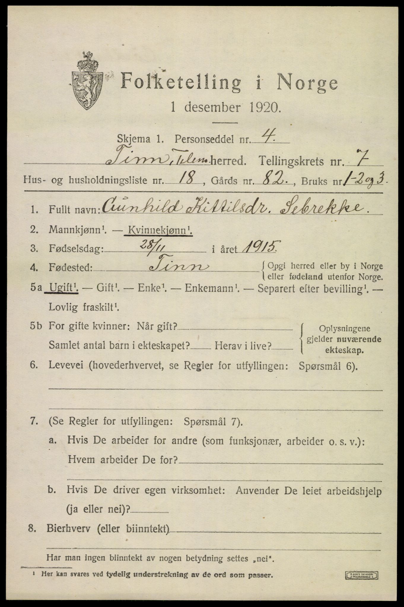 SAKO, 1920 census for Tinn, 1920, p. 5040