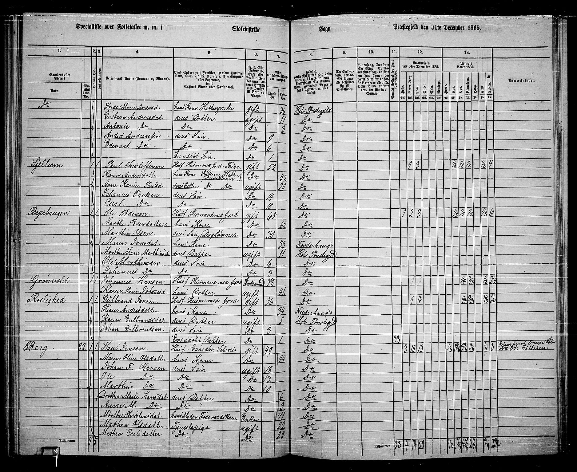 RA, 1865 census for Hole, 1865, p. 100