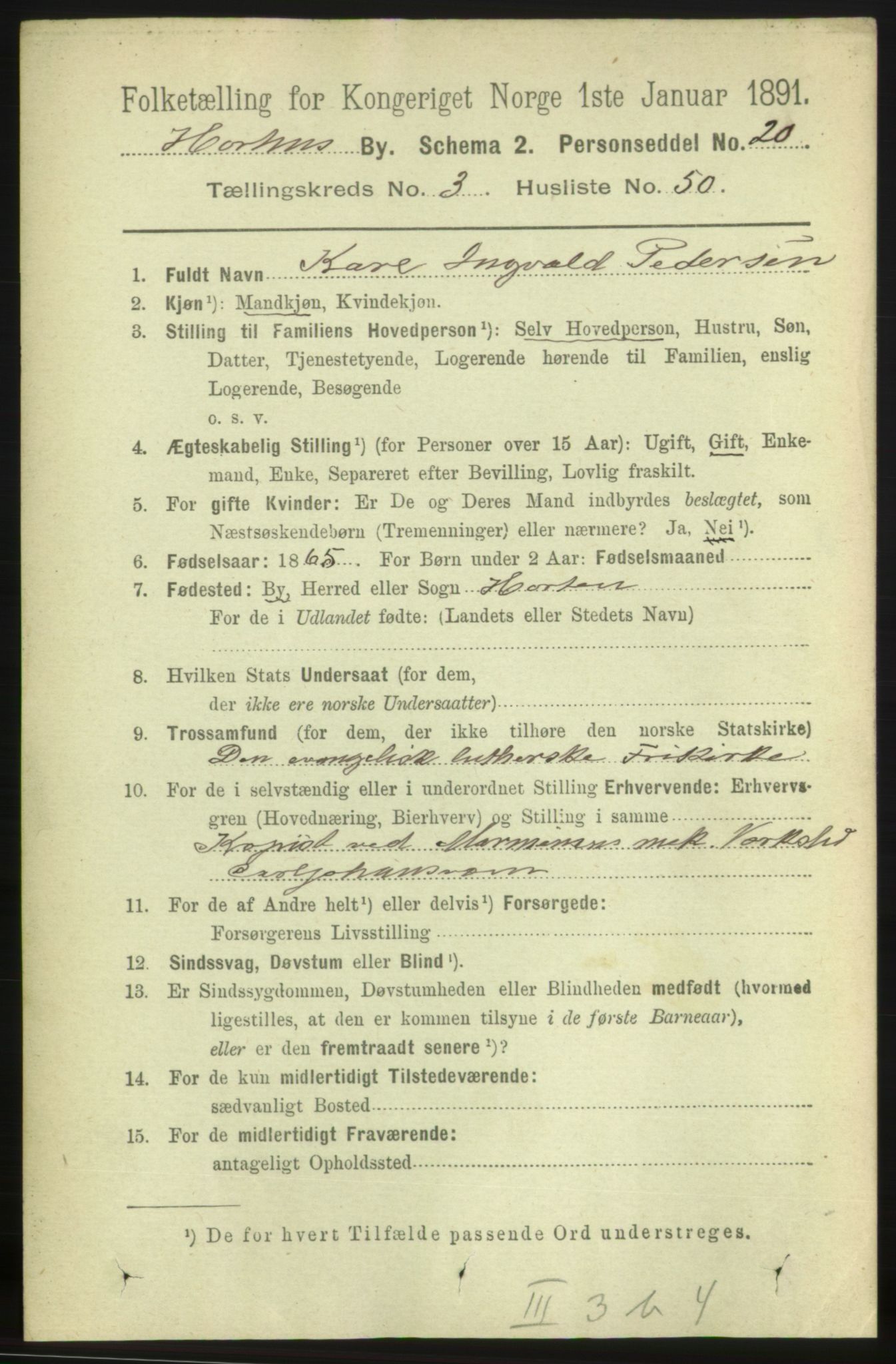 RA, 1891 census for 0703 Horten, 1891, p. 3165