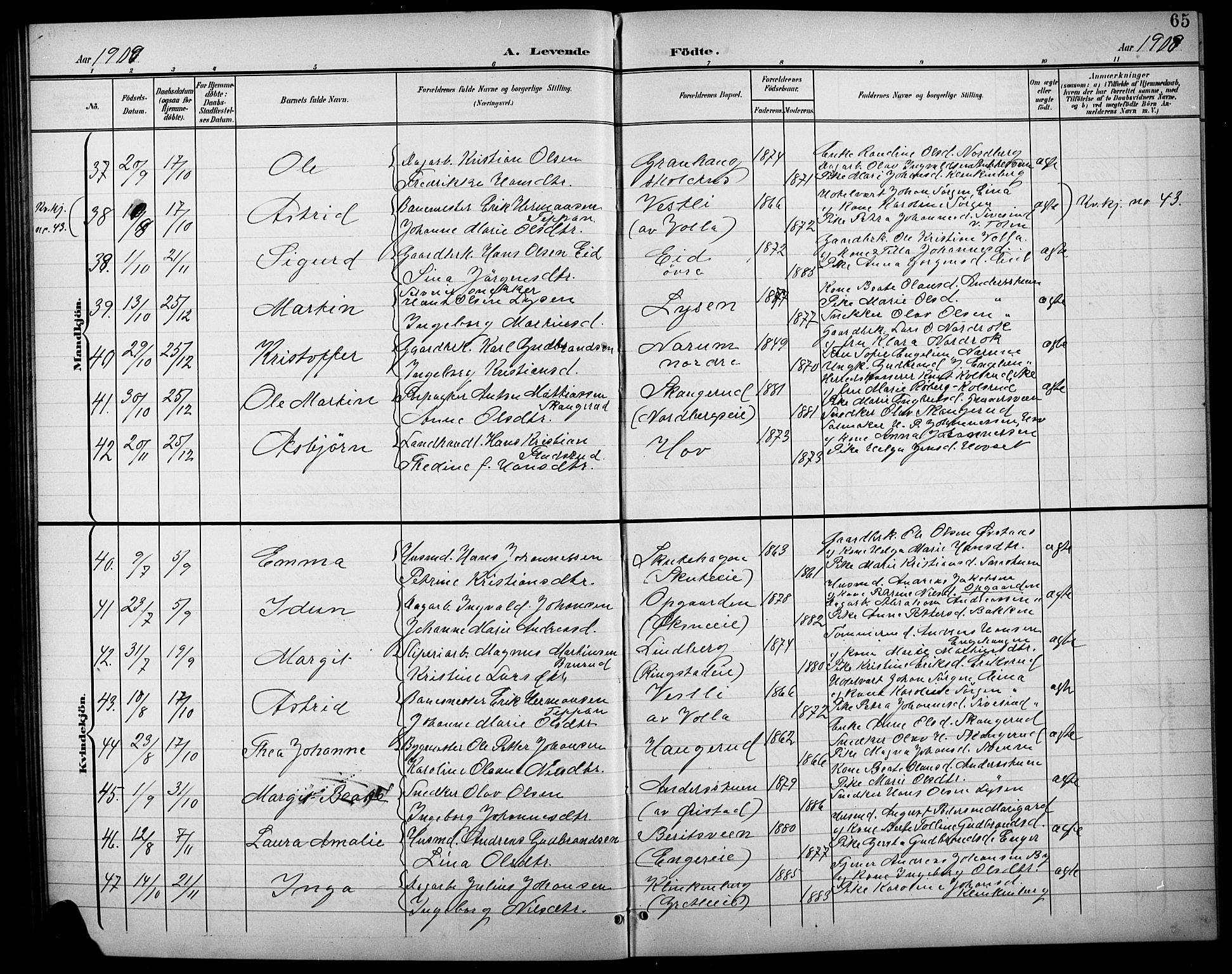 Søndre Land prestekontor, AV/SAH-PREST-122/L/L0004: Parish register (copy) no. 4, 1901-1915, p. 65