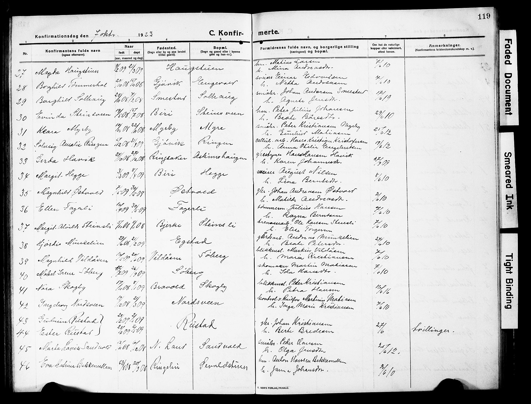 Vardal prestekontor, AV/SAH-PREST-100/H/Ha/Hab/L0015: Parish register (copy) no. 15, 1914-1931, p. 119