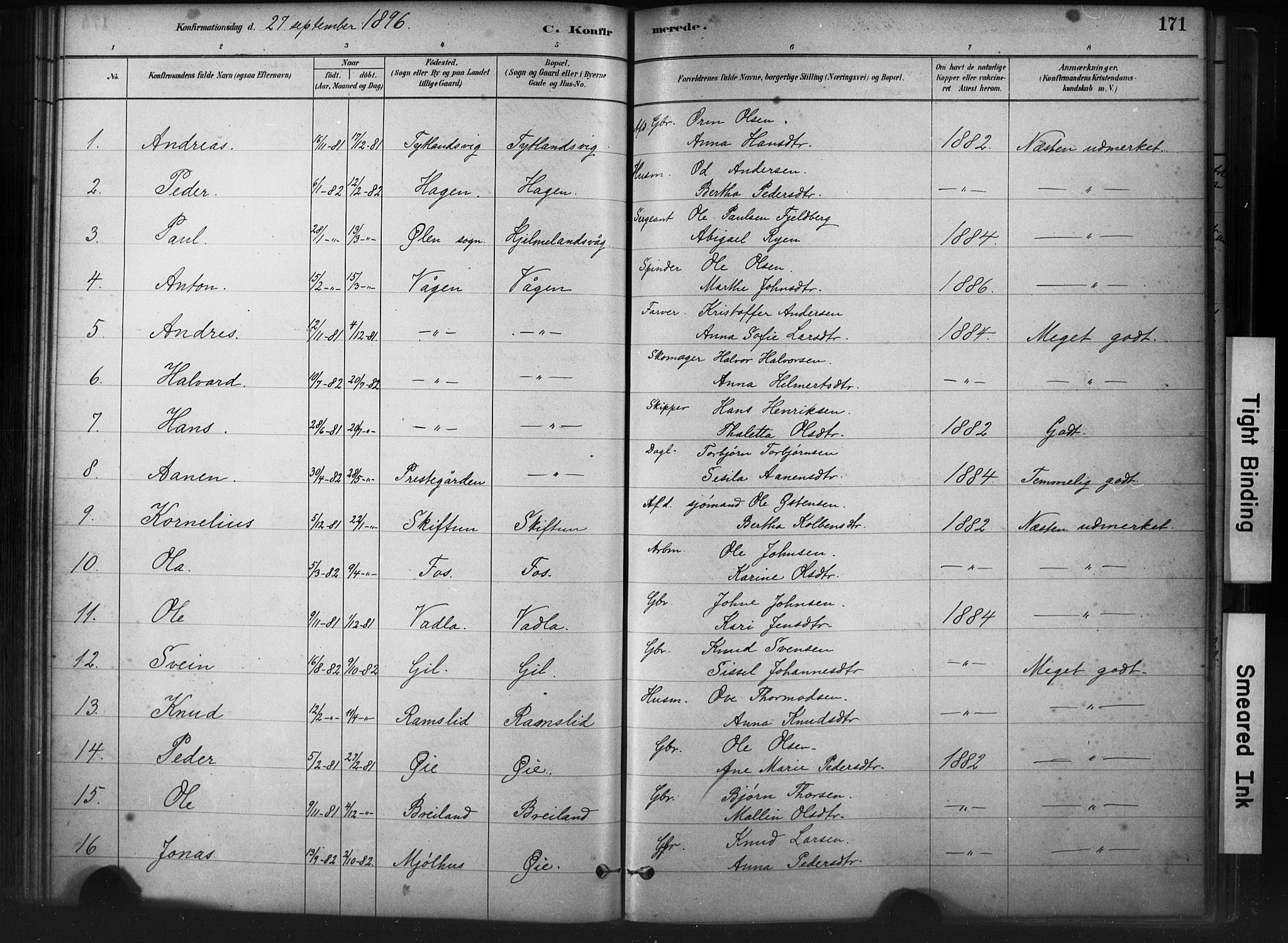 Hjelmeland sokneprestkontor, AV/SAST-A-101843/01/IV/L0014: Parish register (official) no. A 14, 1879-1900, p. 171