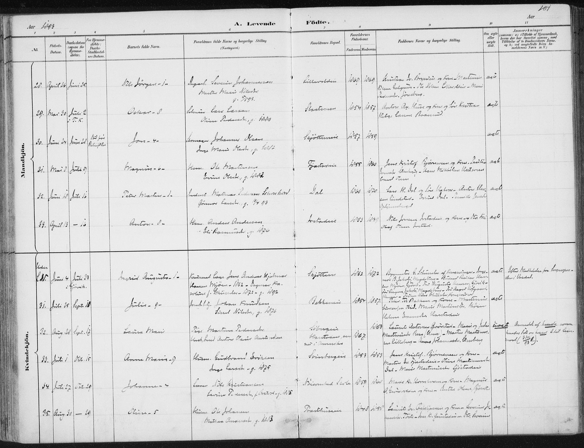 Romedal prestekontor, AV/SAH-PREST-004/K/L0010: Parish register (official) no. 10, 1880-1895, p. 101