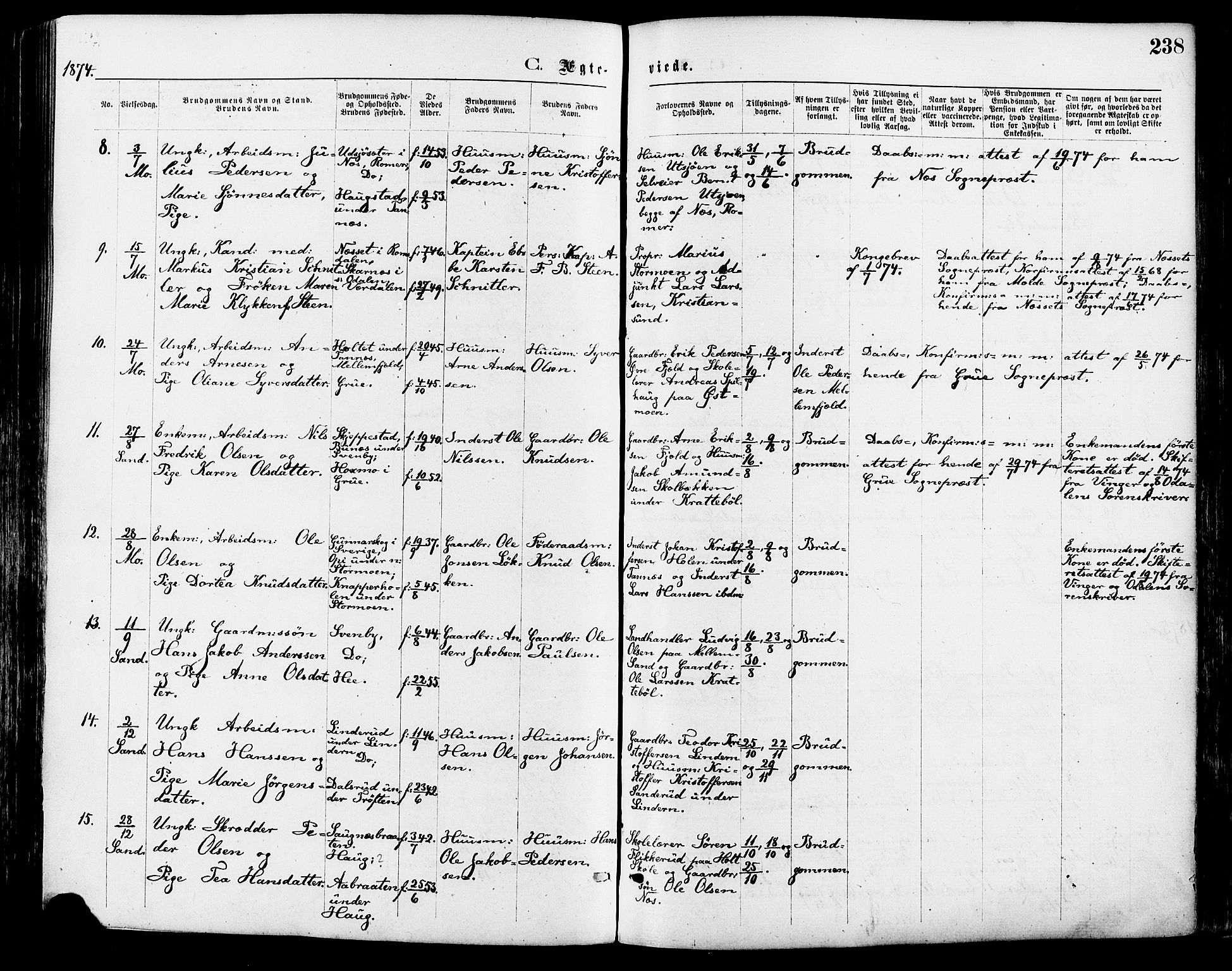 Nord-Odal prestekontor, AV/SAH-PREST-032/H/Ha/Haa/L0005: Parish register (official) no. 5, 1874-1885, p. 238