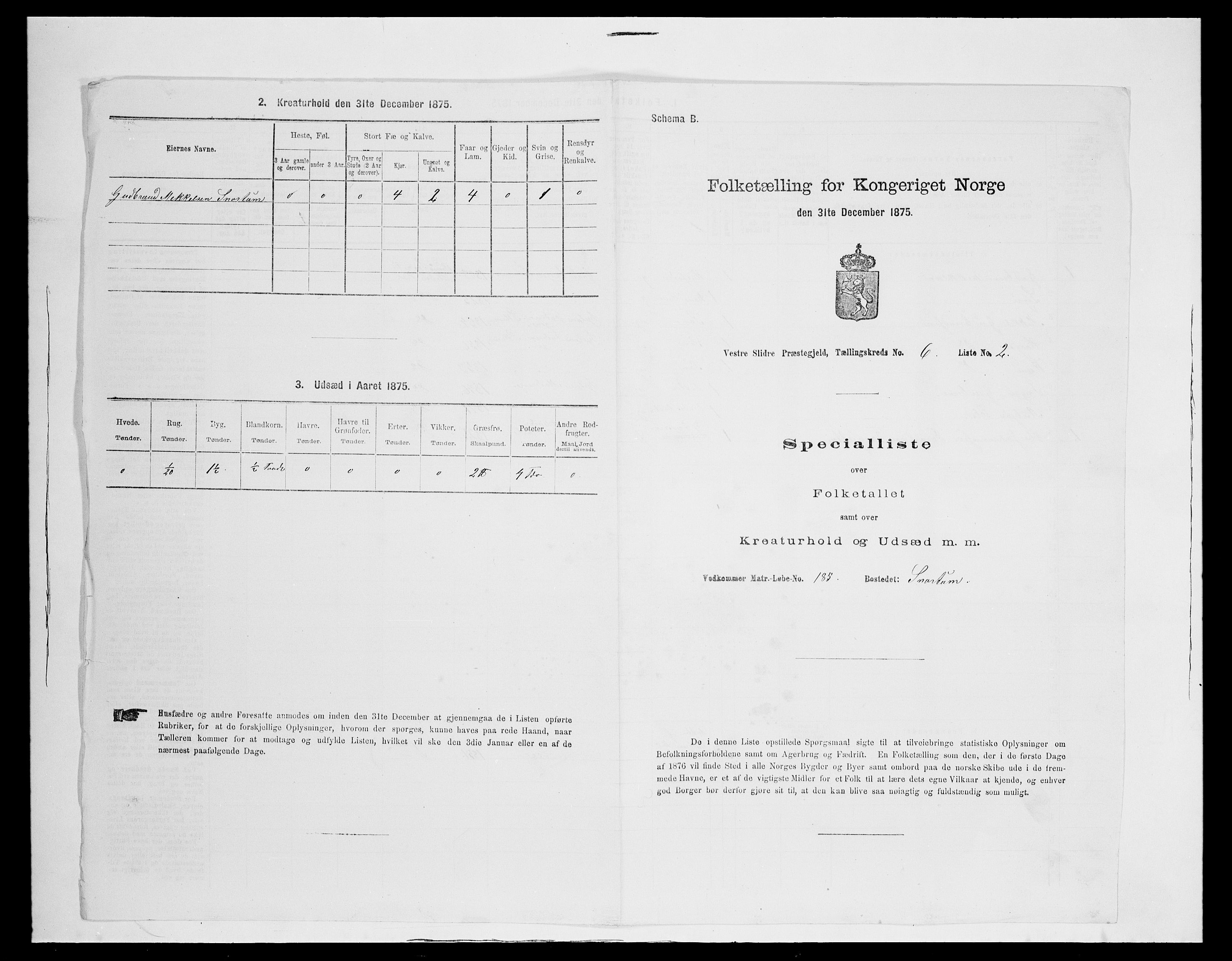 SAH, 1875 census for 0543P Vestre Slidre, 1875, p. 711