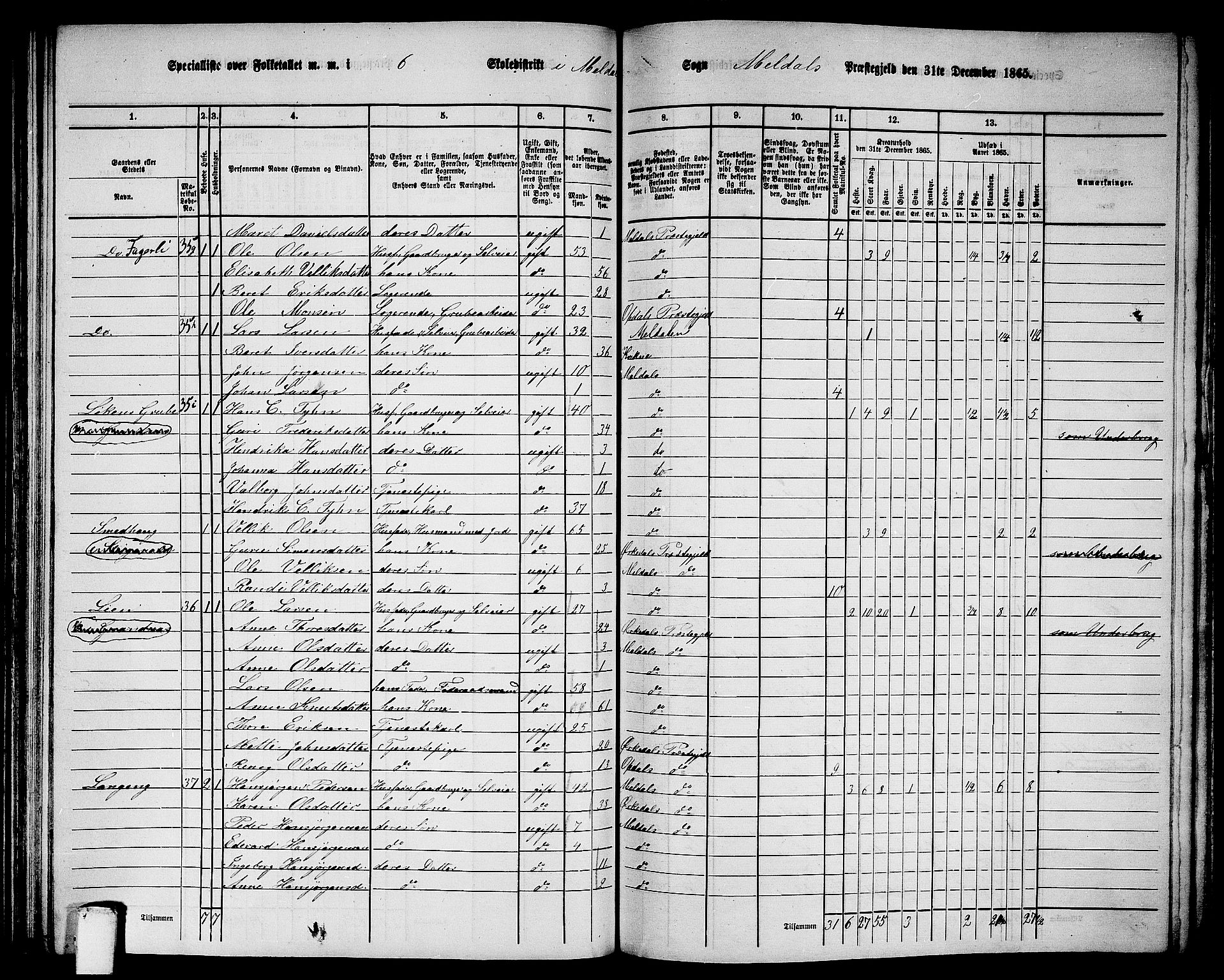 RA, 1865 census for Meldal, 1865, p. 133