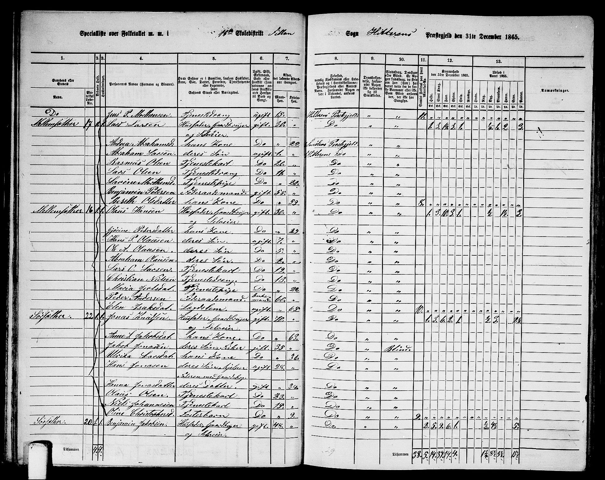 RA, 1865 census for Hitra, 1865, p. 46