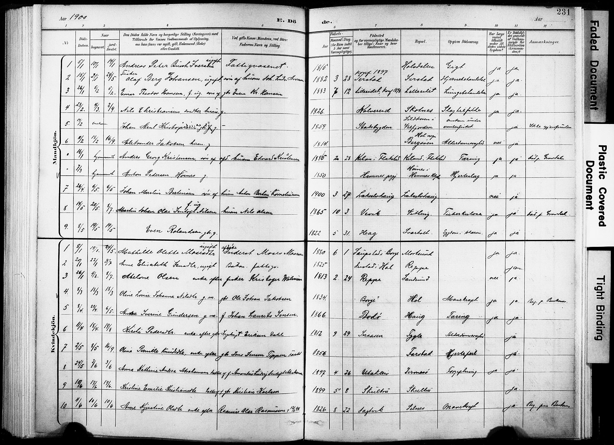 Ministerialprotokoller, klokkerbøker og fødselsregistre - Nordland, AV/SAT-A-1459/881/L1151: Parish register (official) no. 881A04, 1899-1907, p. 231