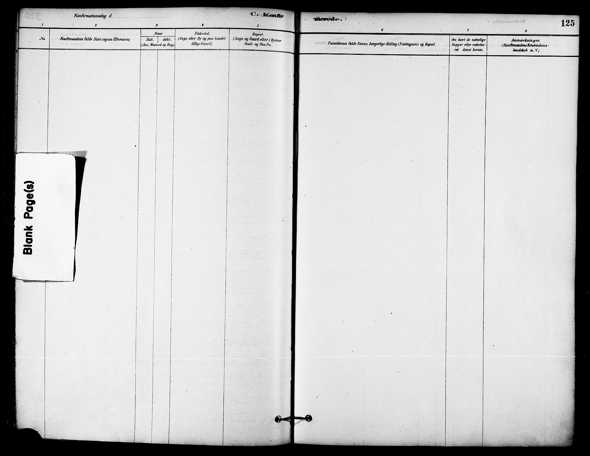 Ministerialprotokoller, klokkerbøker og fødselsregistre - Nordland, AV/SAT-A-1459/823/L0325: Parish register (official) no. 823A02, 1878-1898, p. 125