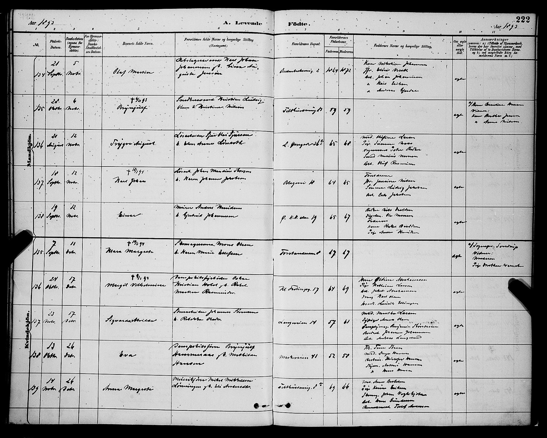 Korskirken sokneprestembete, SAB/A-76101/H/Hab: Parish register (copy) no. B 9, 1887-1896, p. 222