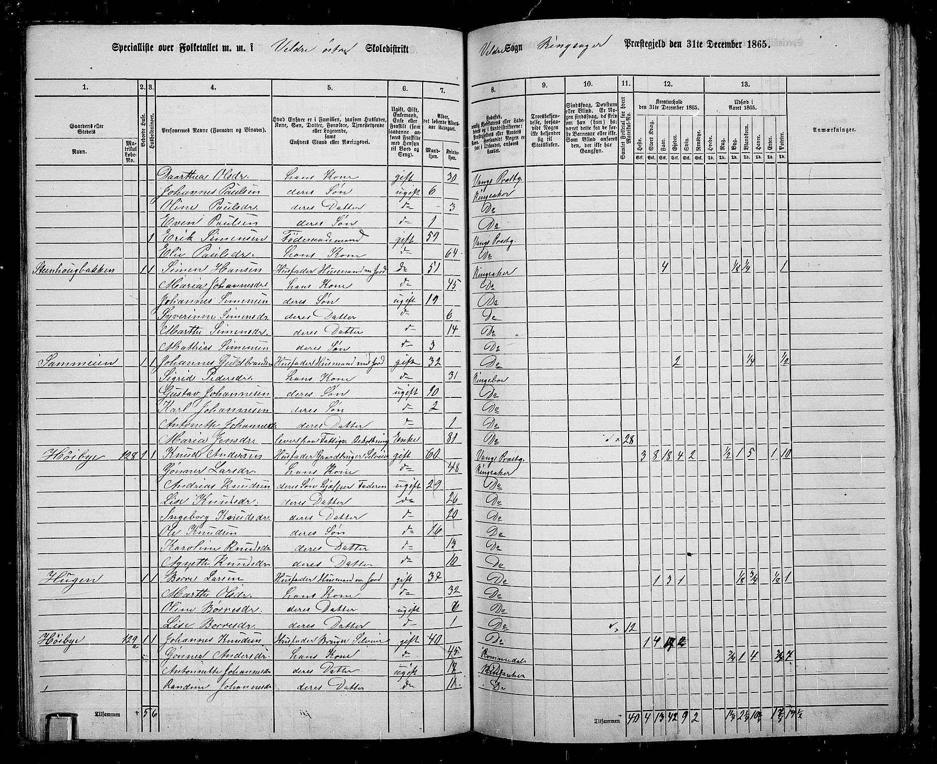 RA, 1865 census for Ringsaker, 1865, p. 194