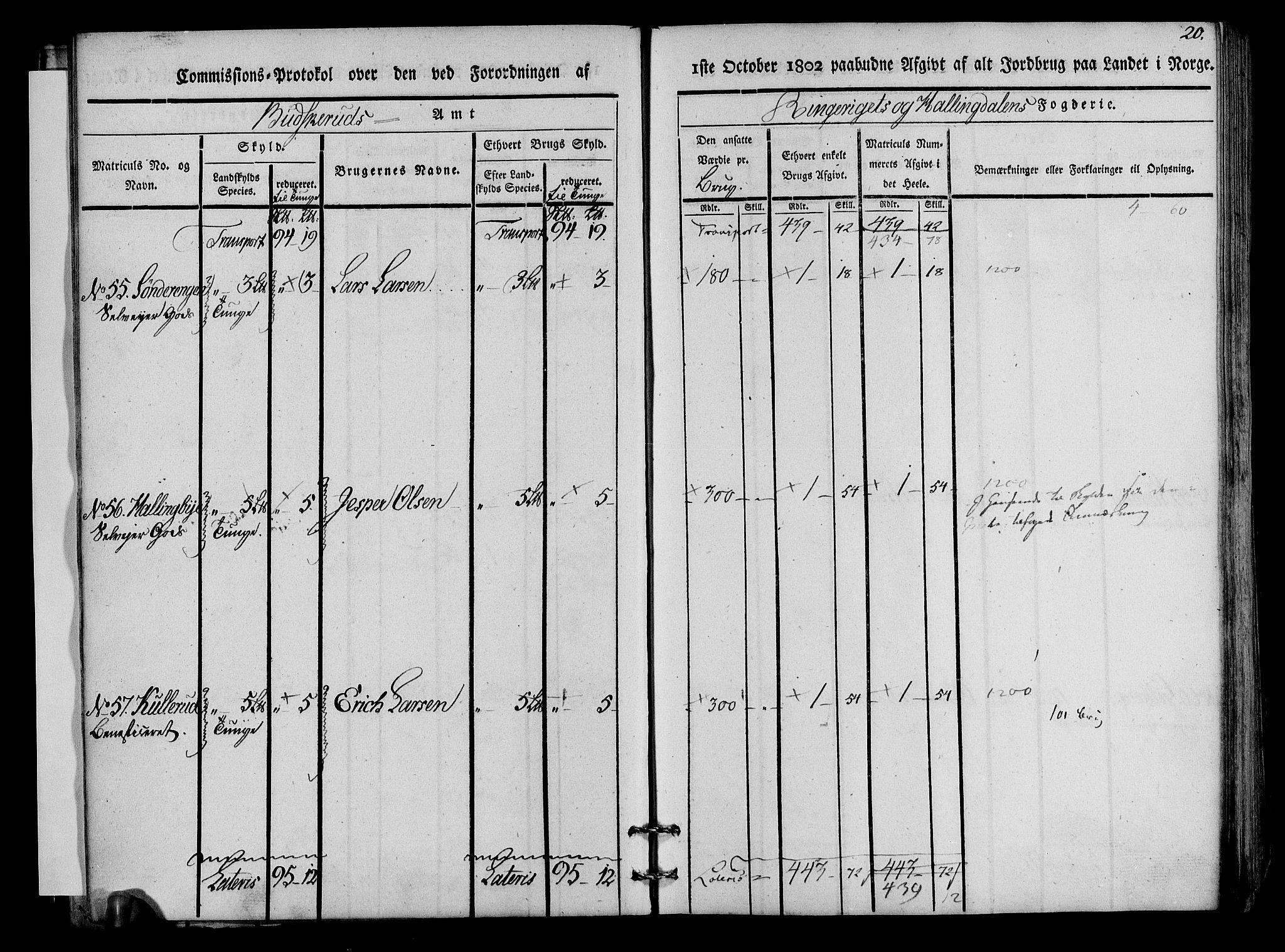 Rentekammeret inntil 1814, Realistisk ordnet avdeling, AV/RA-EA-4070/N/Ne/Nea/L0045: Ringerike og Hallingdal fogderi. Kommisjonsprotokoll for Norderhov prestegjeld, 1803, p. 22