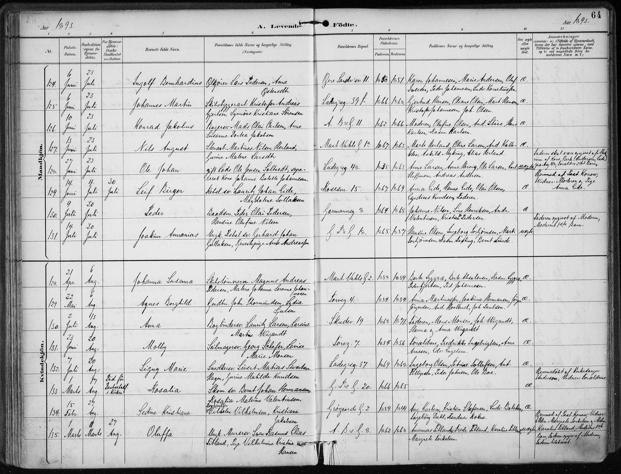 Sandviken Sokneprestembete, AV/SAB-A-77601/H/Ha/L0005: Parish register (official) no. B 2, 1891-1901, p. 64