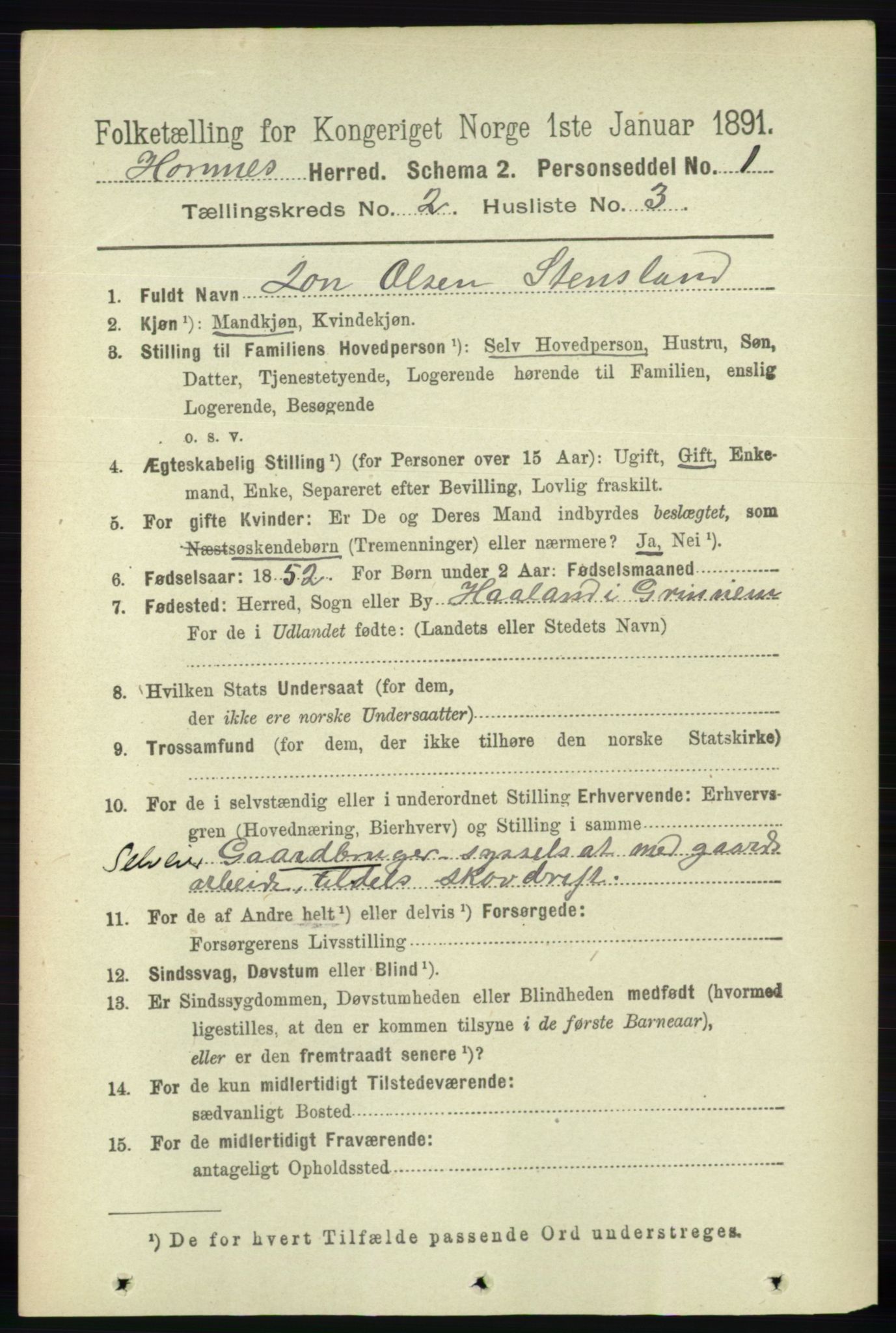 RA, 1891 census for 0936 Hornnes, 1891, p. 223