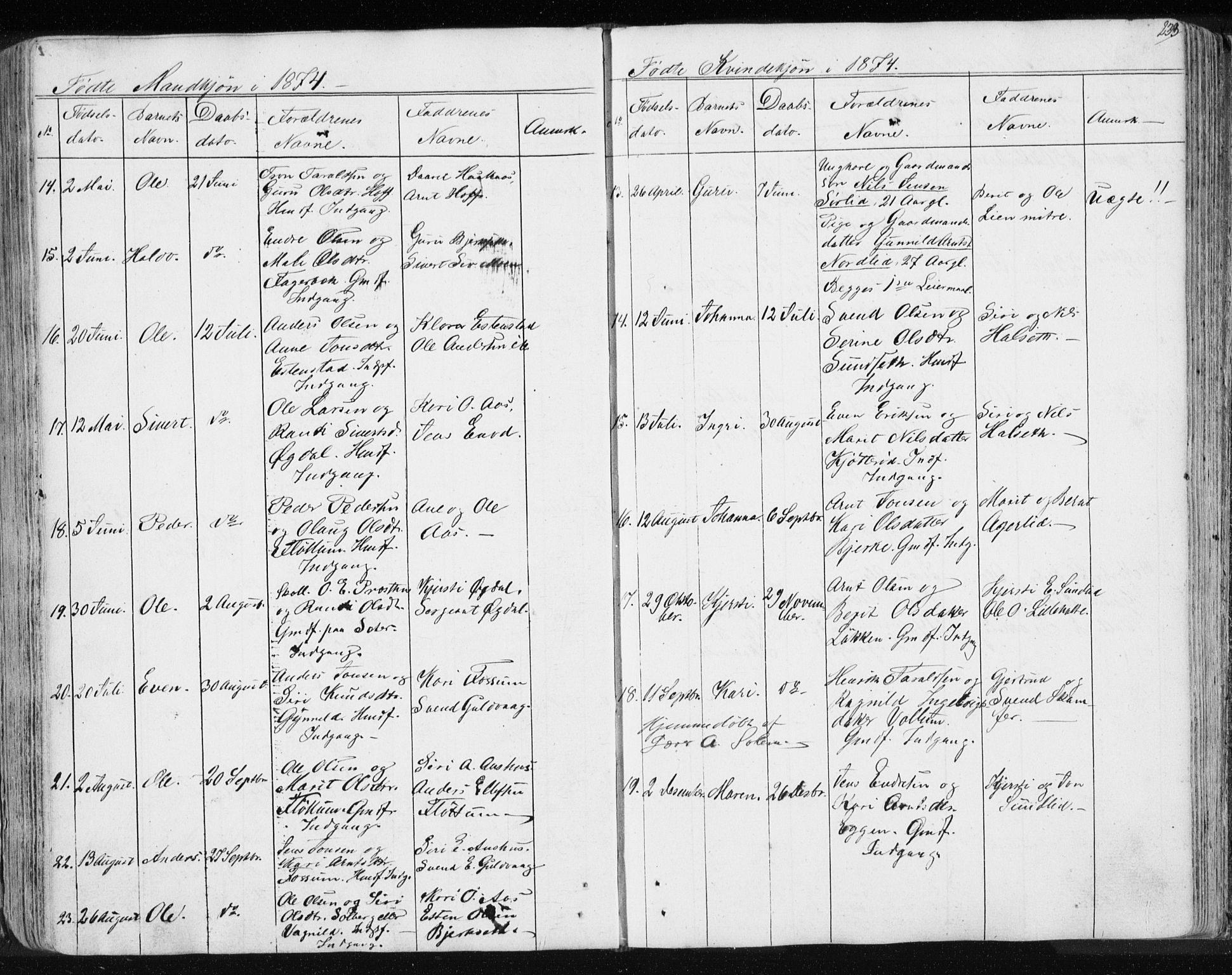 Ministerialprotokoller, klokkerbøker og fødselsregistre - Sør-Trøndelag, SAT/A-1456/689/L1043: Parish register (copy) no. 689C02, 1816-1892, p. 233