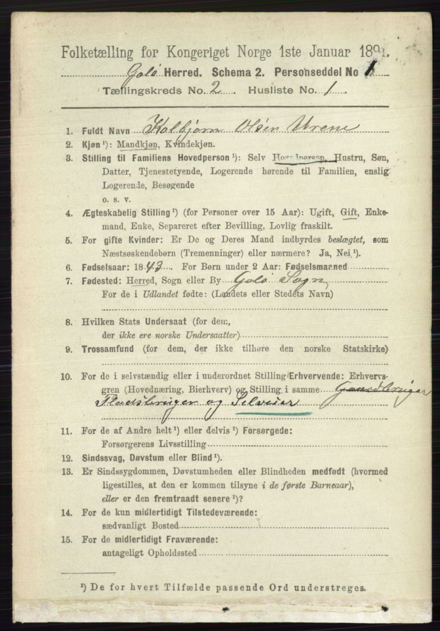 RA, 1891 census for 0617 Gol og Hemsedal, 1891, p. 714