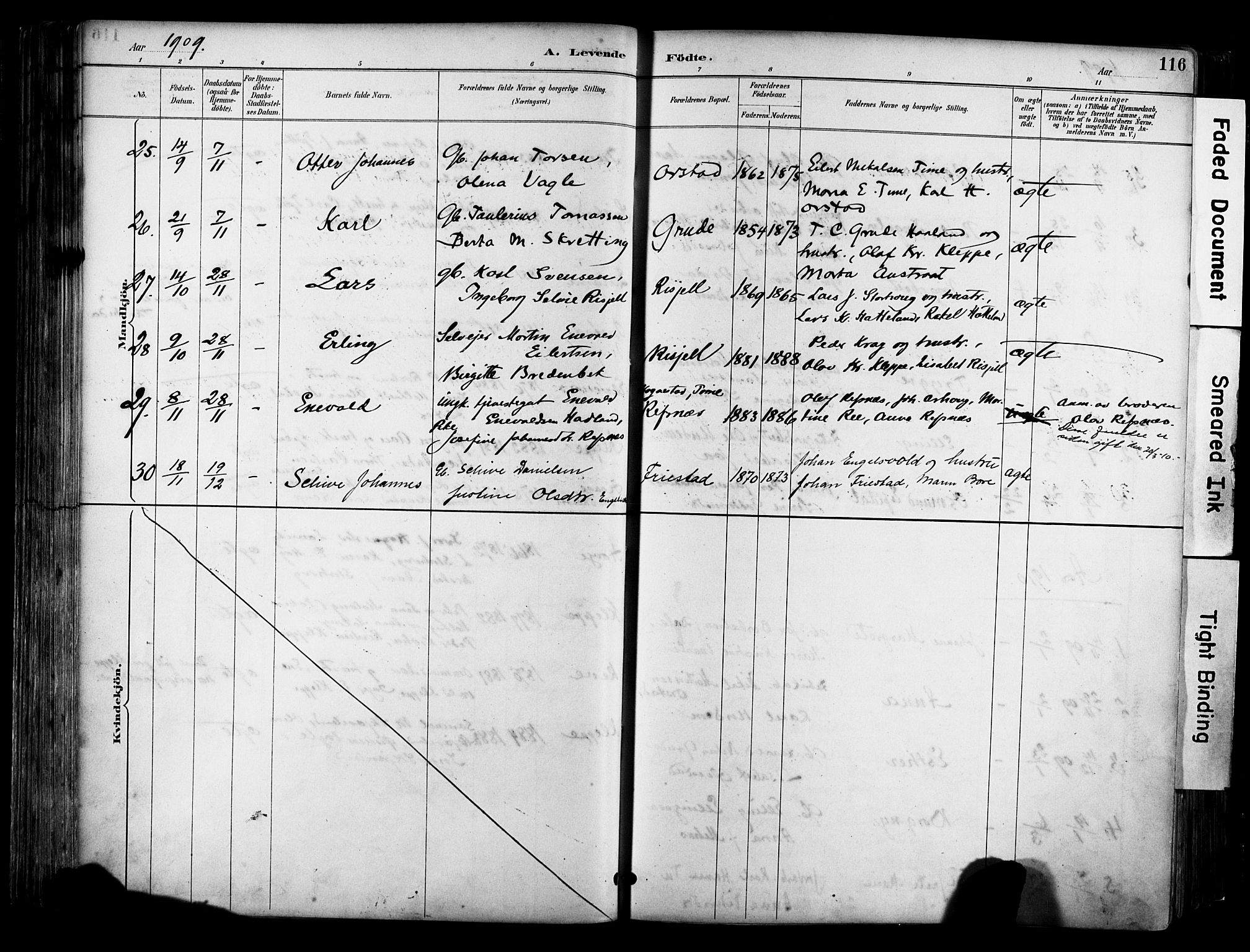 Klepp sokneprestkontor, AV/SAST-A-101803/001/3/30BA/L0009: Parish register (official) no. A 7, 1886-1915, p. 116