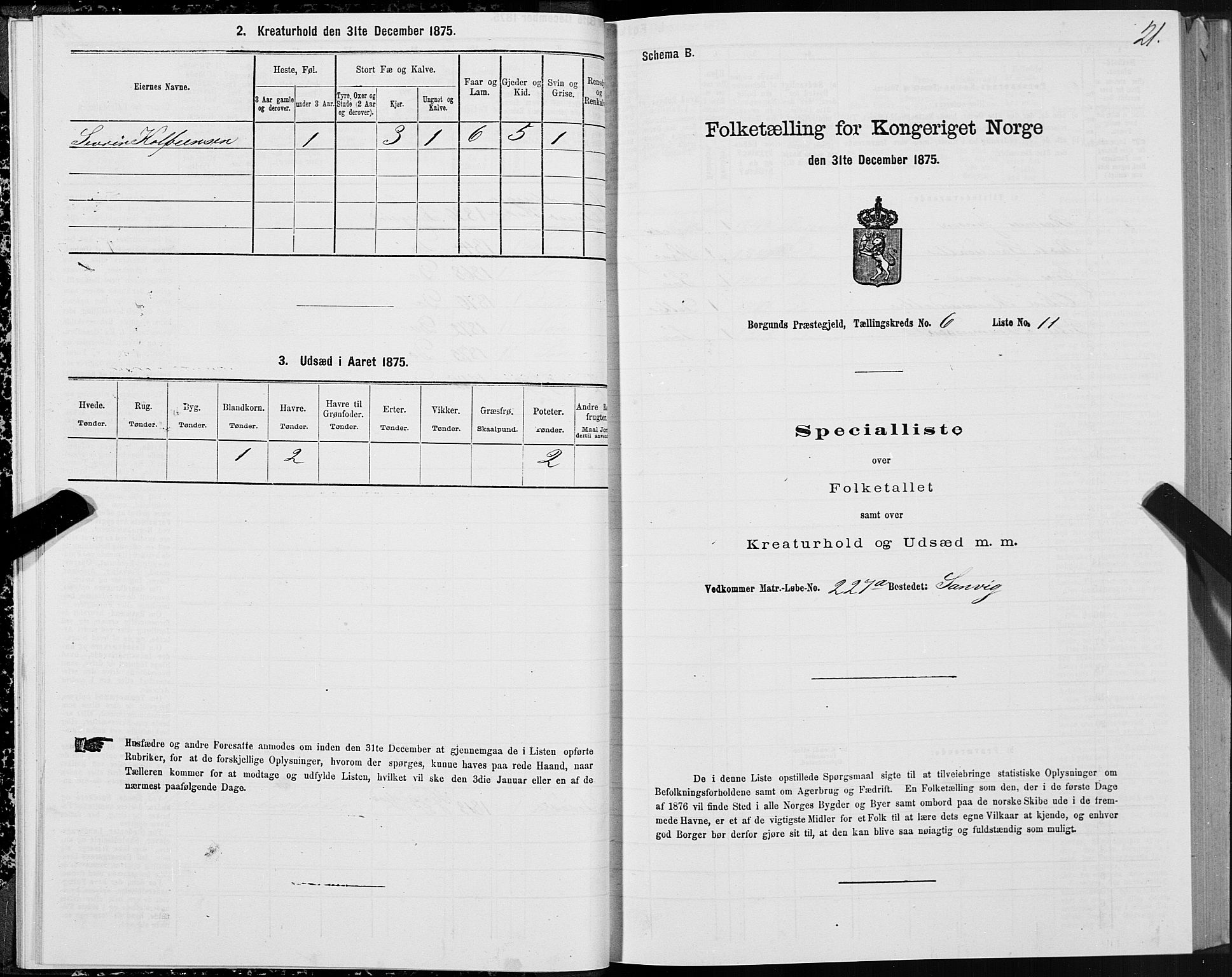 SAT, 1875 census for 1531P Borgund, 1875, p. 4021