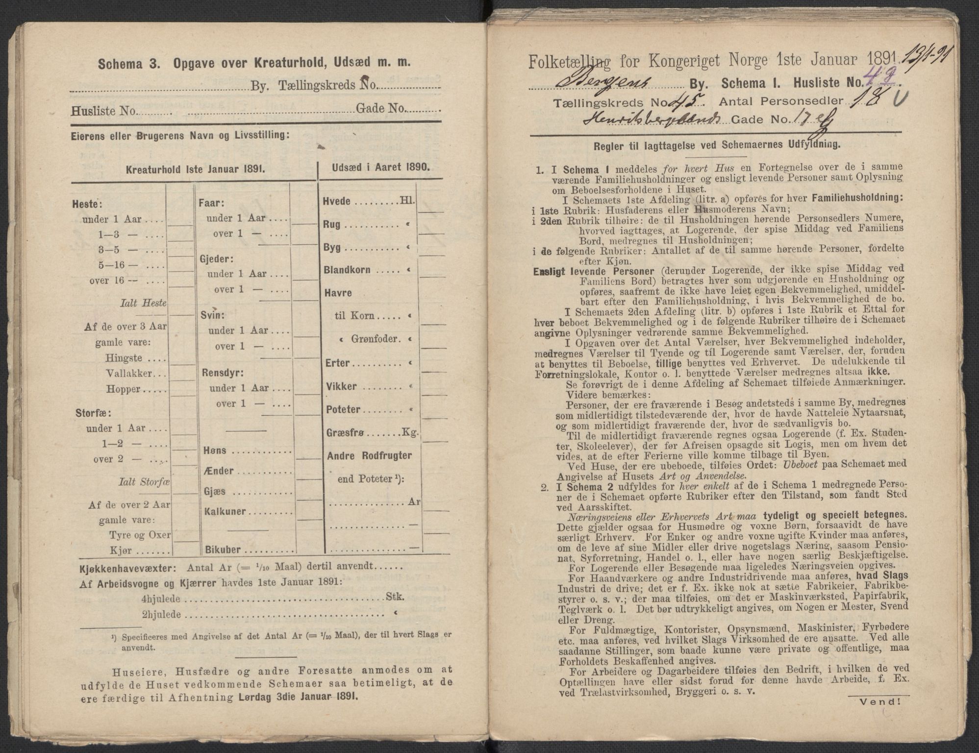 RA, 1891 Census for 1301 Bergen, 1891, p. 7436