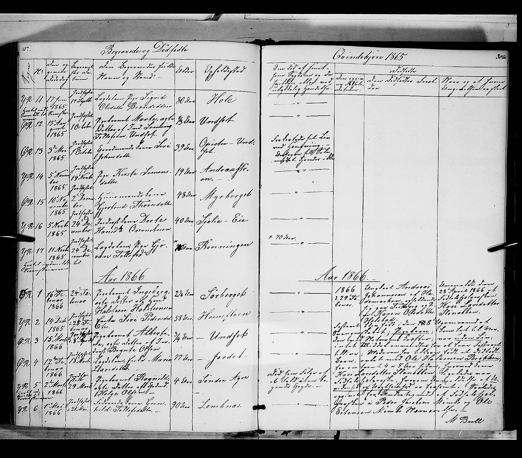 Rendalen prestekontor, AV/SAH-PREST-054/H/Ha/Haa/L0005: Parish register (official) no. 5, 1853-1866, p. 306