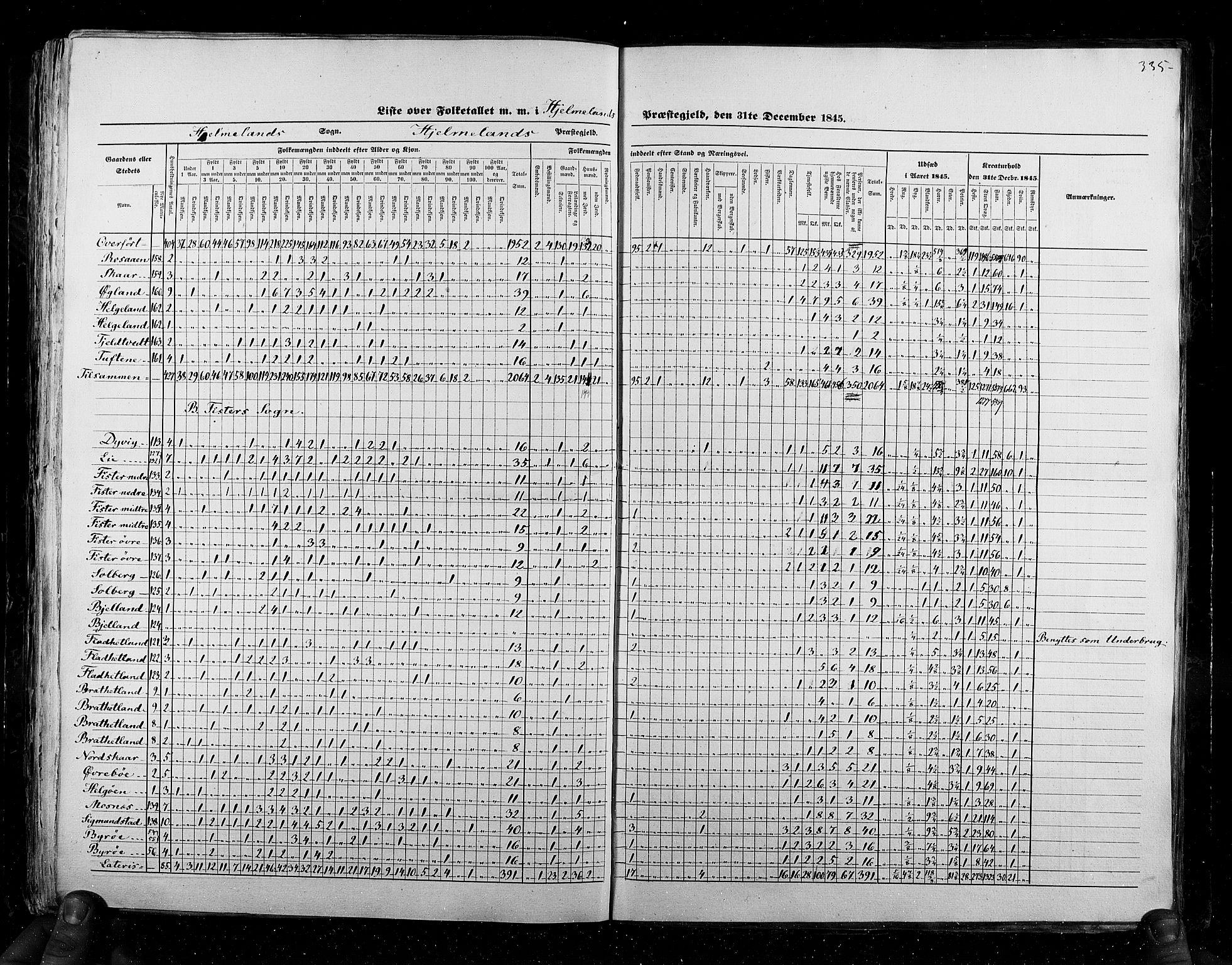 RA, Census 1845, vol. 6: Lister og Mandal amt og Stavanger amt, 1845, p. 335