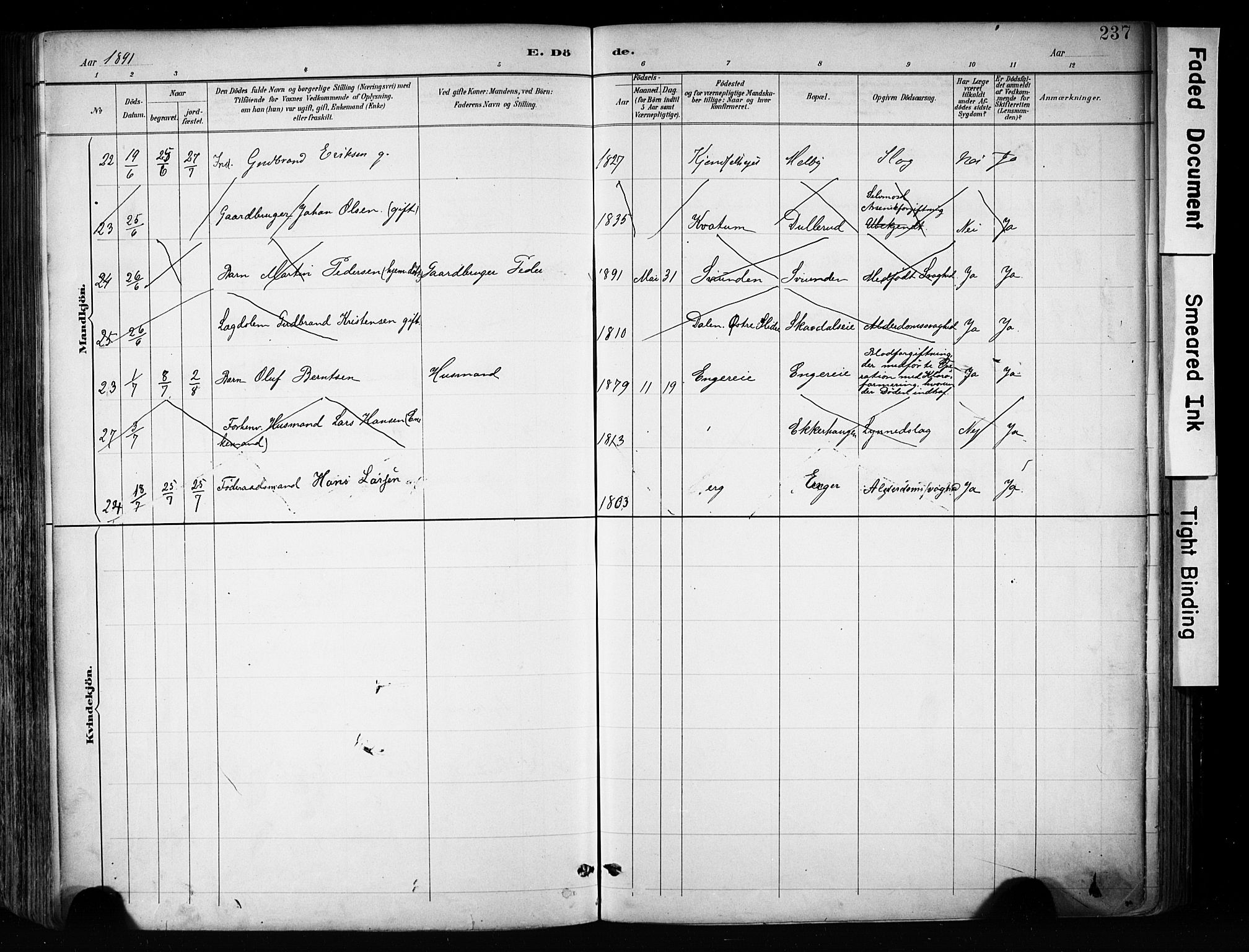 Biri prestekontor, SAH/PREST-096/H/Ha/Haa/L0009: Parish register (official) no. 9, 1887-1900, p. 237