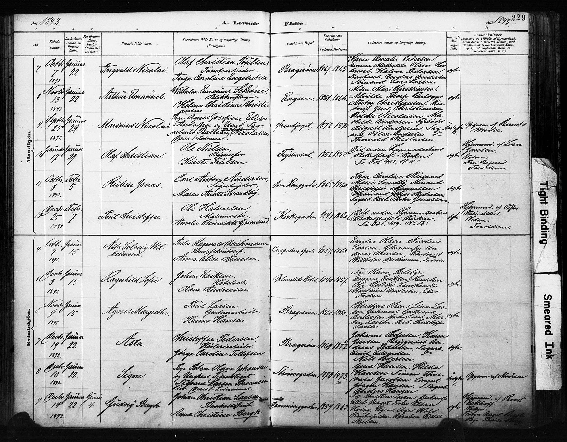 Bragernes kirkebøker, AV/SAKO-A-6/F/Fb/L0007: Parish register (official) no. II 7, 1885-1893, p. 229