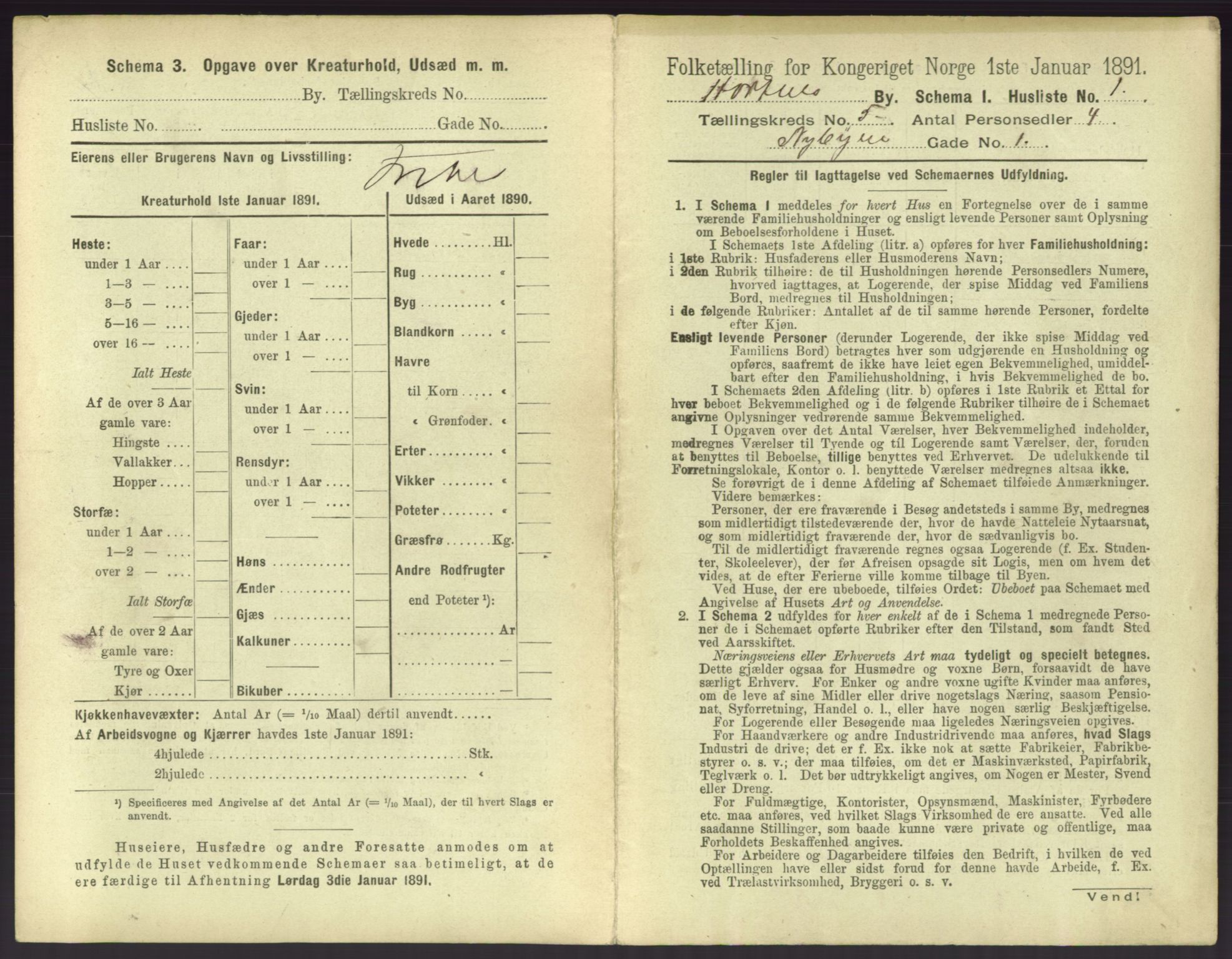 RA, 1891 census for 0703 Horten, 1891, p. 465