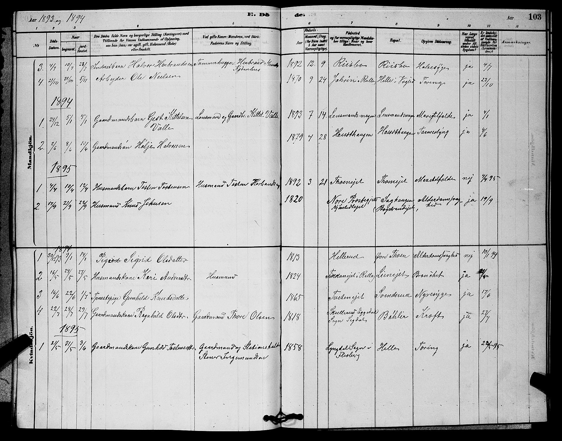 Rollag kirkebøker, SAKO/A-240/G/Gb/L0002: Parish register (copy) no. II 2, 1878-1898, p. 103