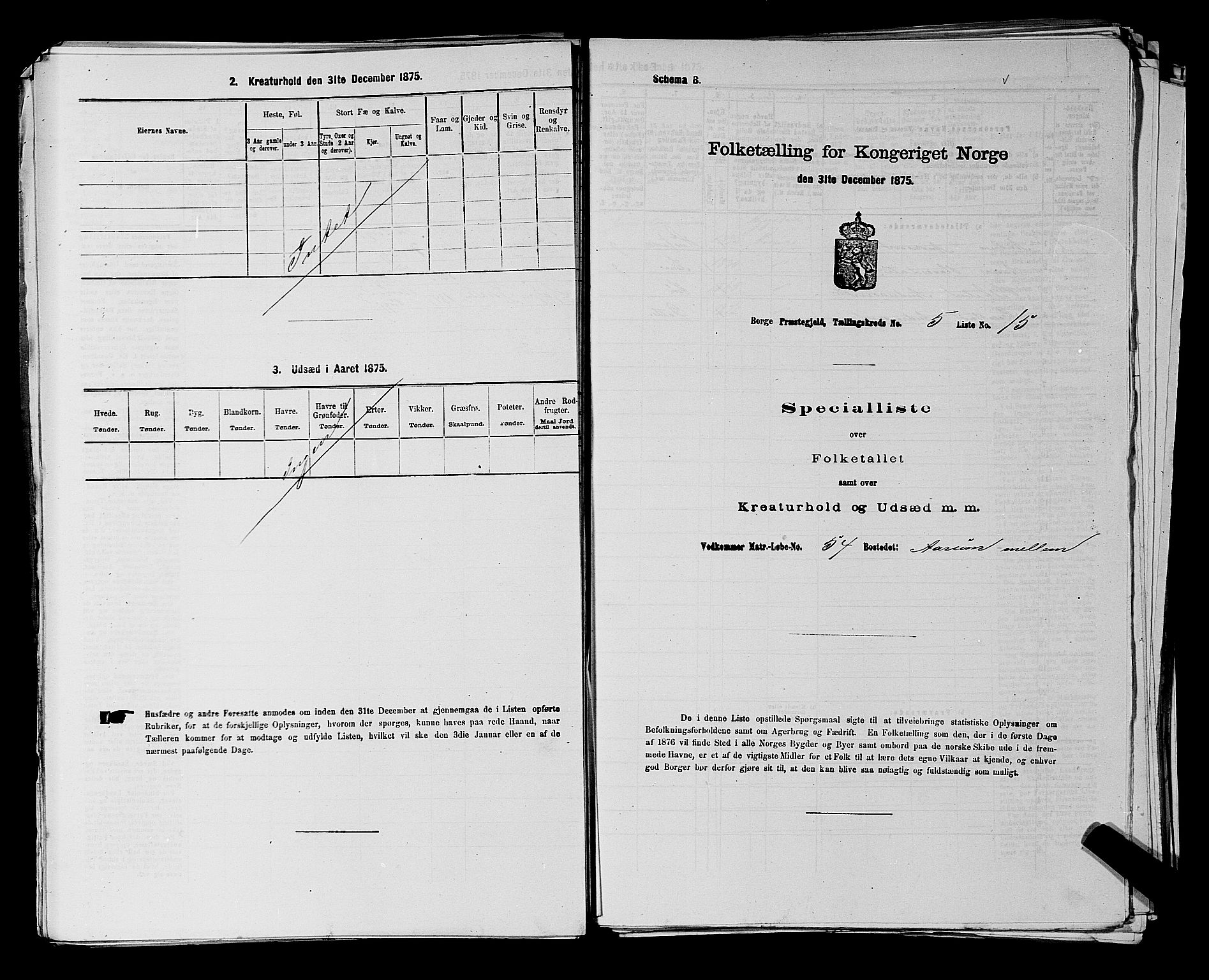 RA, 1875 census for 0113P Borge, 1875, p. 817