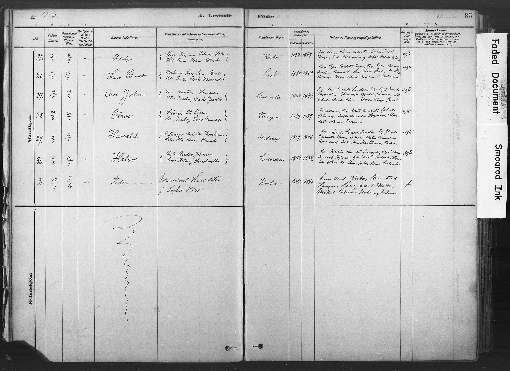 Sandsvær kirkebøker, AV/SAKO-A-244/F/Fd/L0001: Parish register (official) no. IV 1, 1878-1906, p. 35