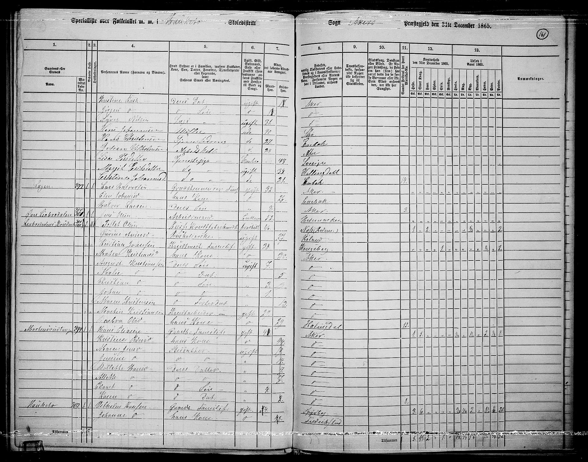 RA, 1865 census for Østre Aker, 1865, p. 380