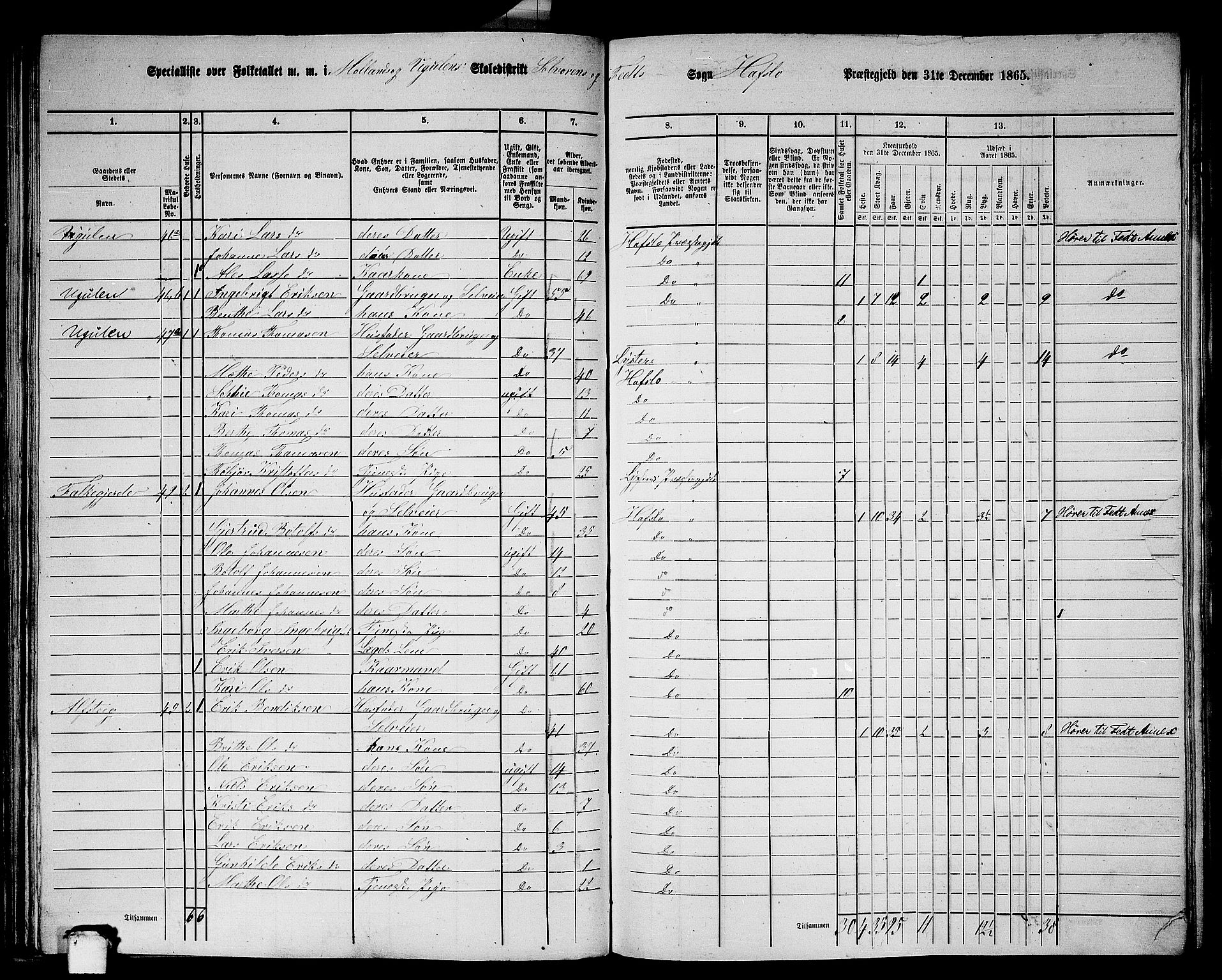 RA, 1865 census for Hafslo, 1865, p. 96